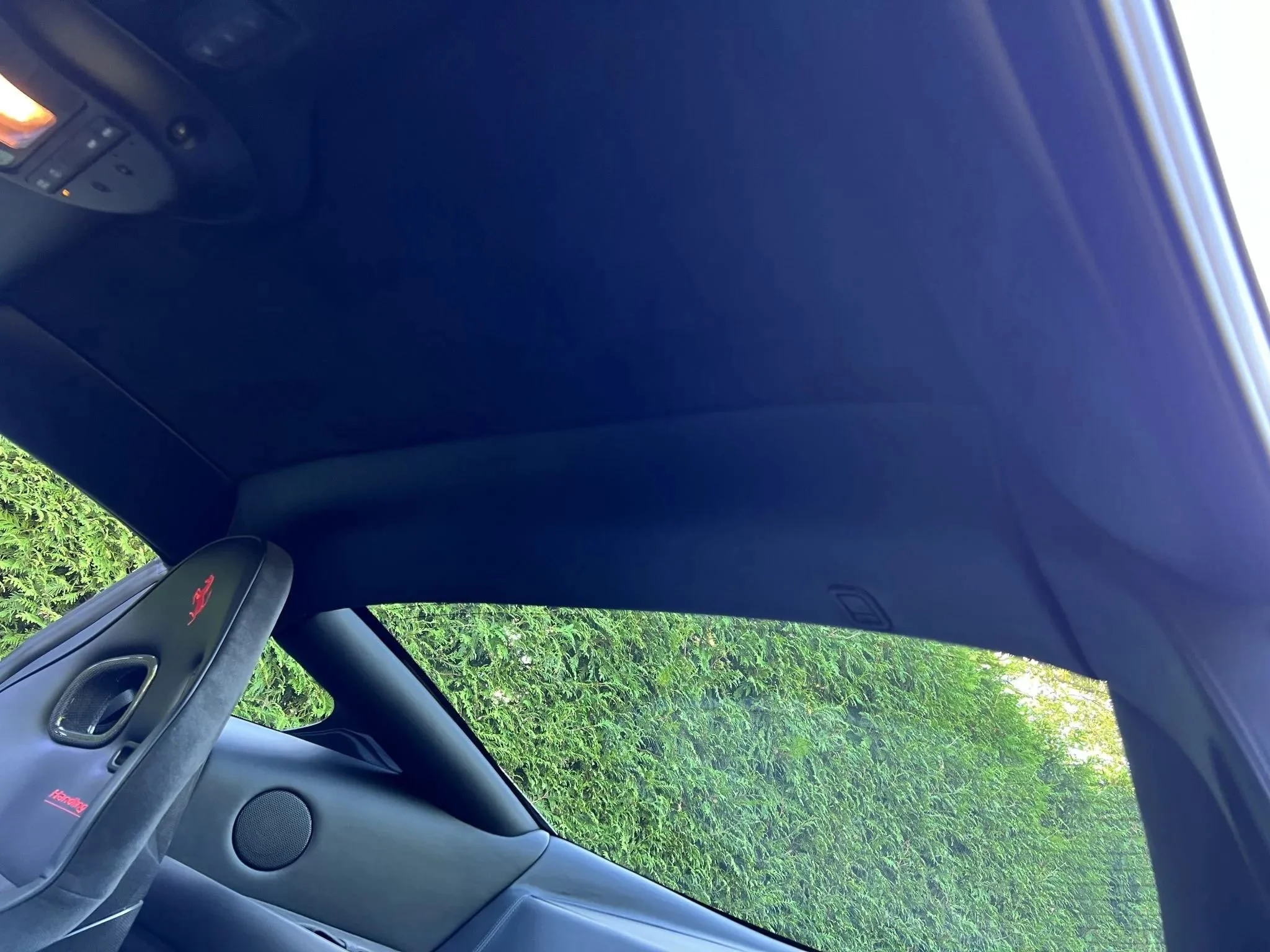 The interior of a sports car showing the dashboard, steering wheel, and a view of green bushes through the side window.