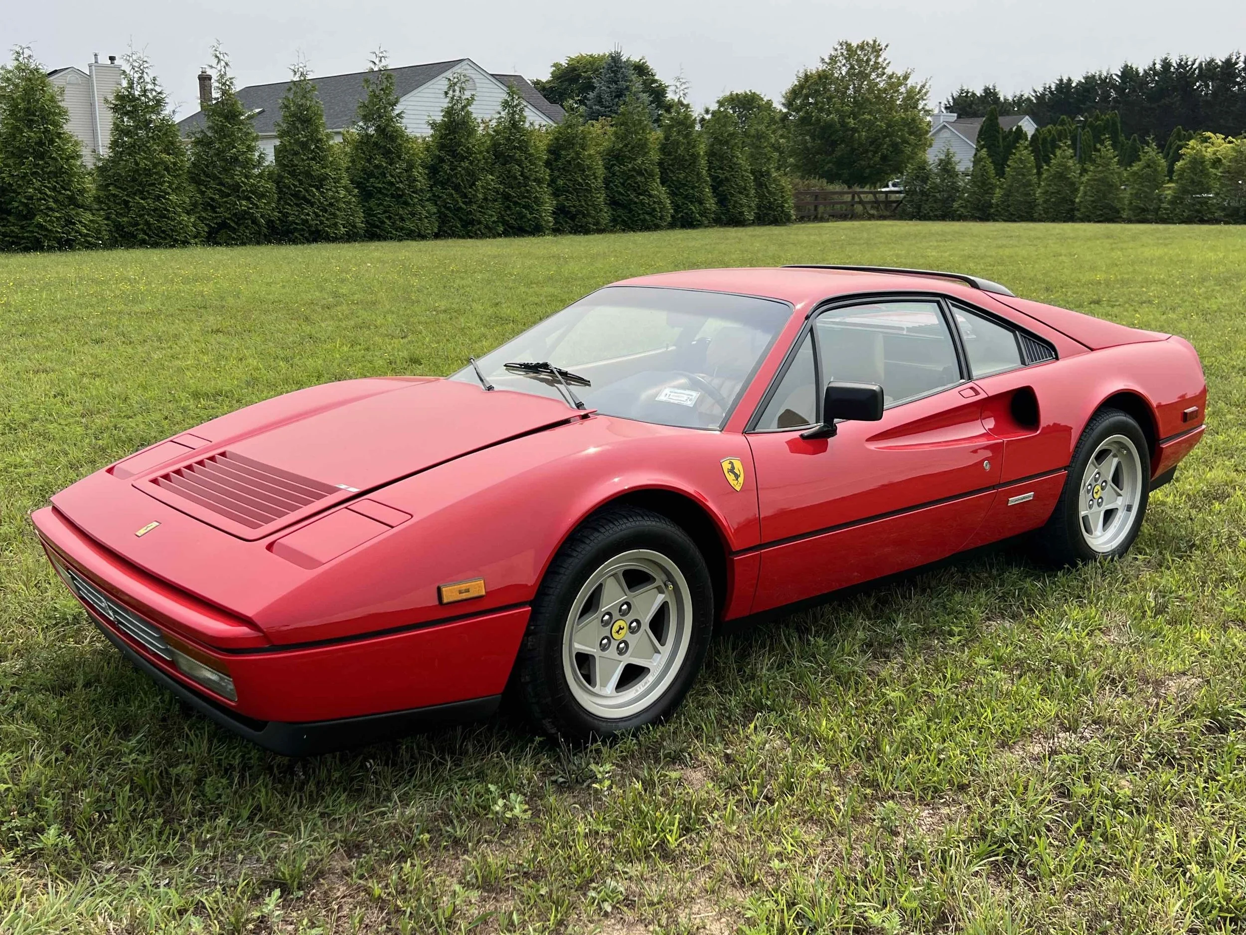 Red vintage Ferrari 308 sports car parked on a grassy field with a row of green trees and houses in the background.