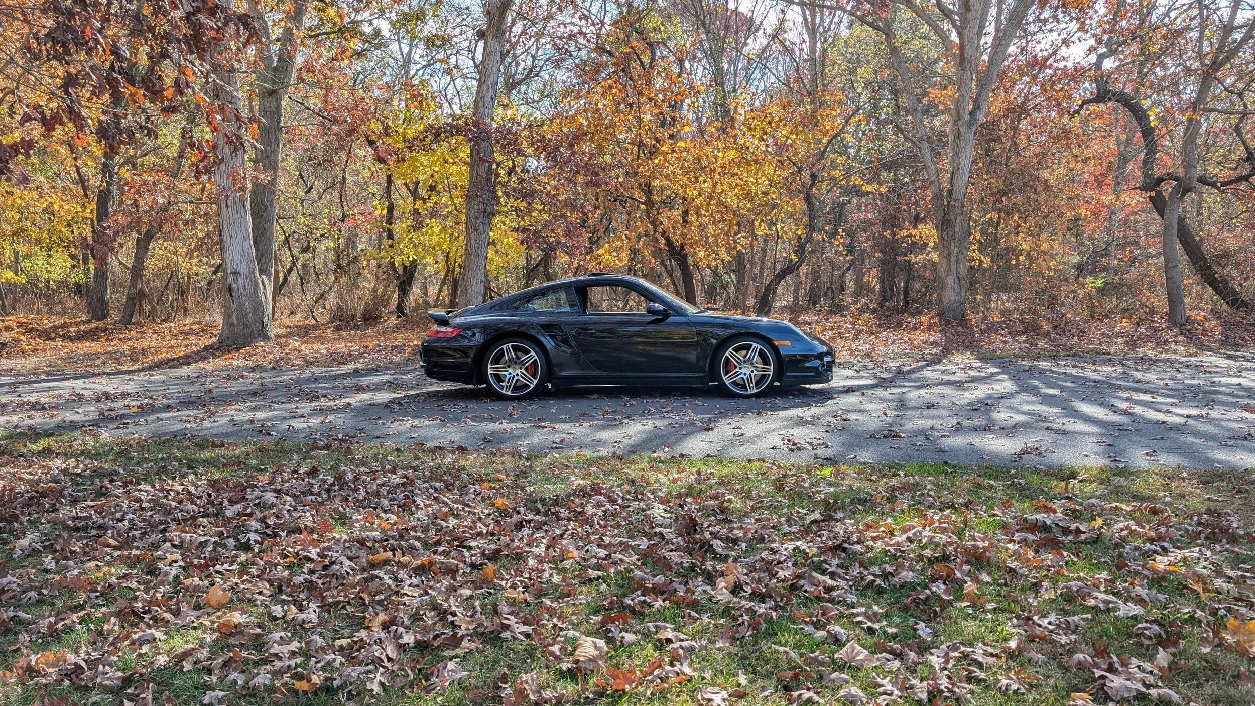 A black sports car parked on the edge of a wooded area with autumn leaves on the ground and colorful fall foliage in the background.