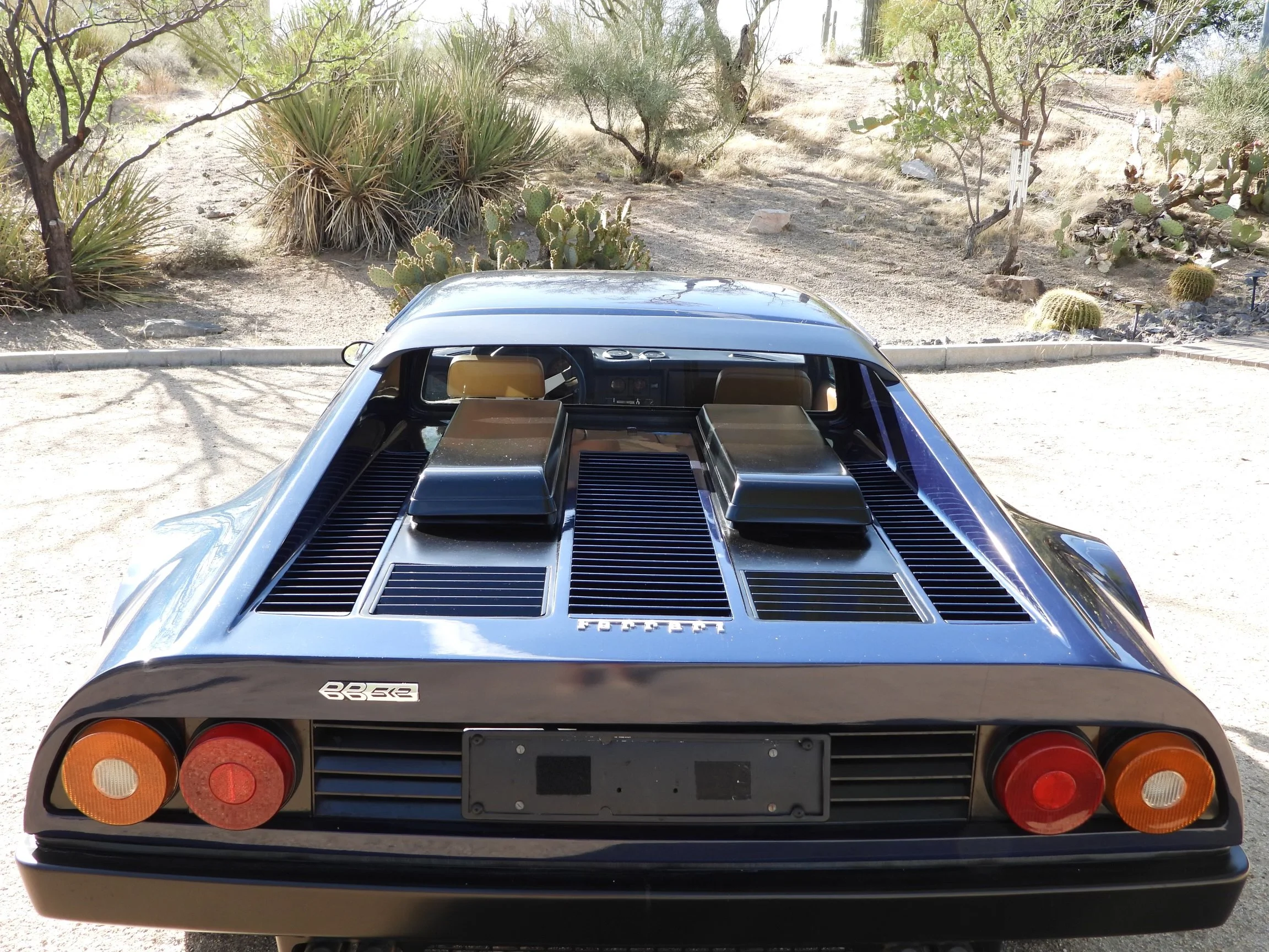 Rear view of a Blu Dino 1979 Ferrari 512 BB sports car with distinctive round taillights, parked in a desert-like environment with cacti and desert plants in the background.