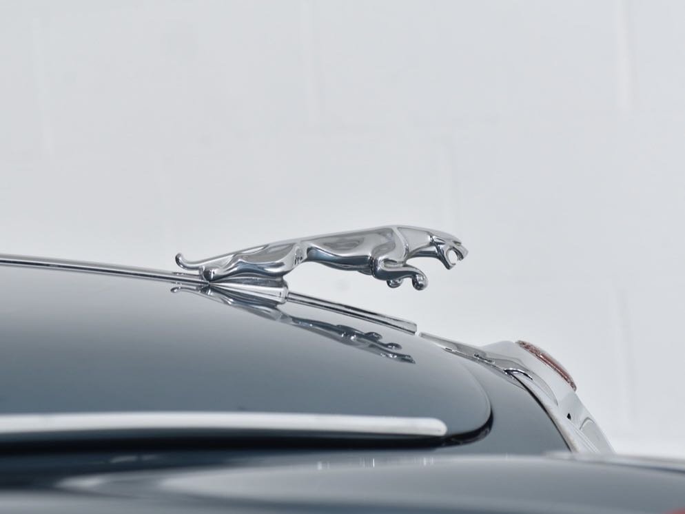 Close-up of a silver jaguar hood ornament on a vintage black car.