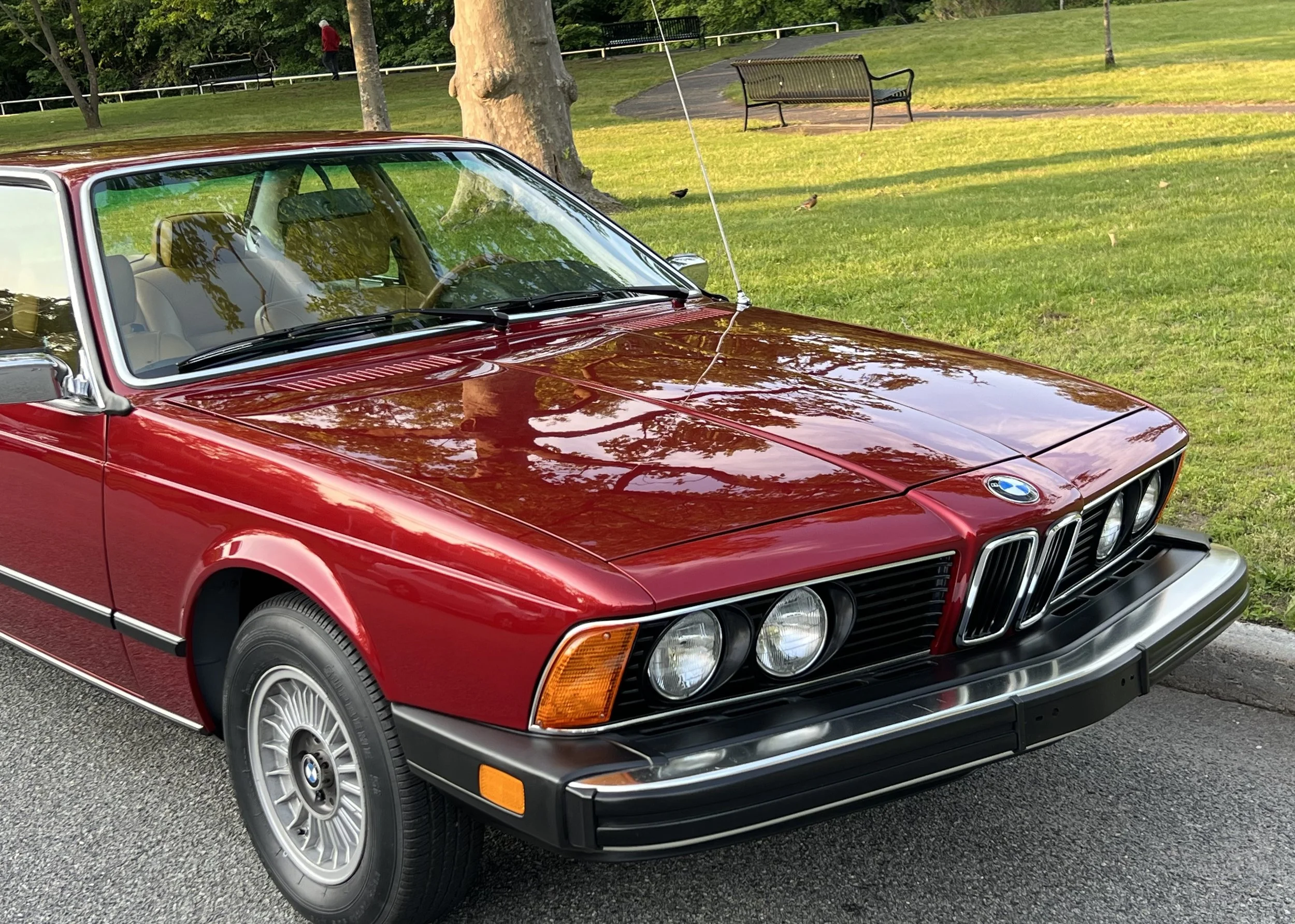 Side of Ruby Red 1977 BMW 630 csi on display in park for sale at FlowHaus