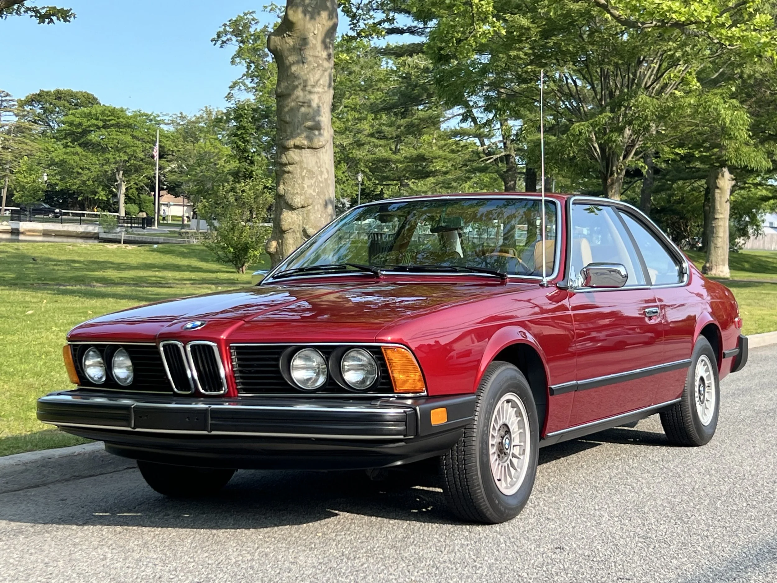 Ruby Red 1977 BMW 630 csi on display in park with trees, grass, and lake in background for sale at FlowHaus