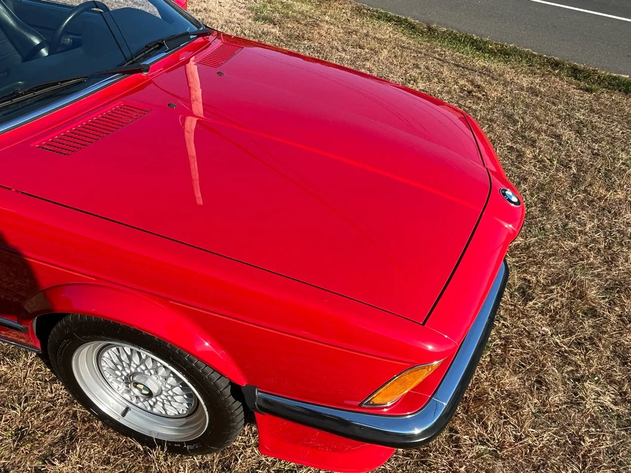Close-up of the front part of a red BMW car parked on dry grass beside a road, with the BMW logo visible on the hood.