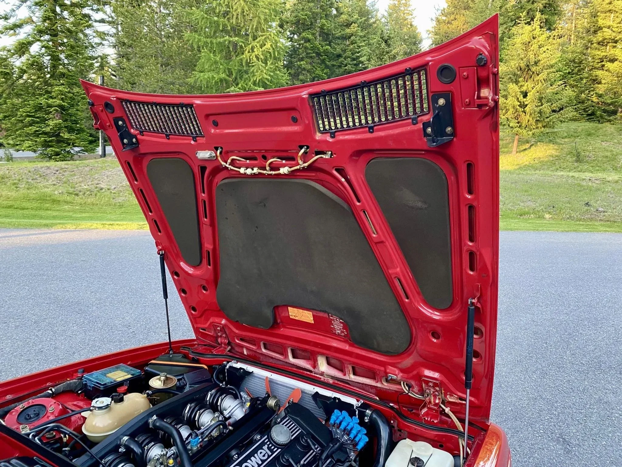 The hood of a red sports car is open, revealing the engine and internal components, with trees and grass in the background.