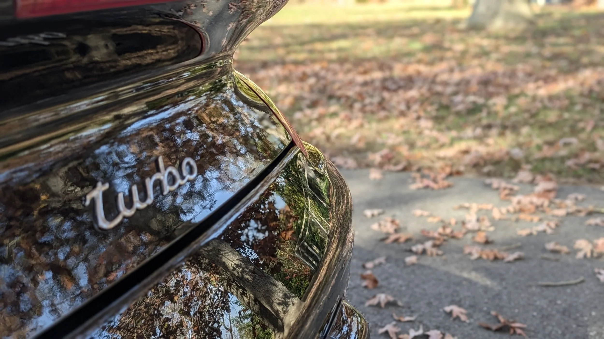 Close-up of a black car's rear with the word 'Turbo' badge, reflecting leafless trees and blue sky, with autumn leaves scattered on the ground in the background.