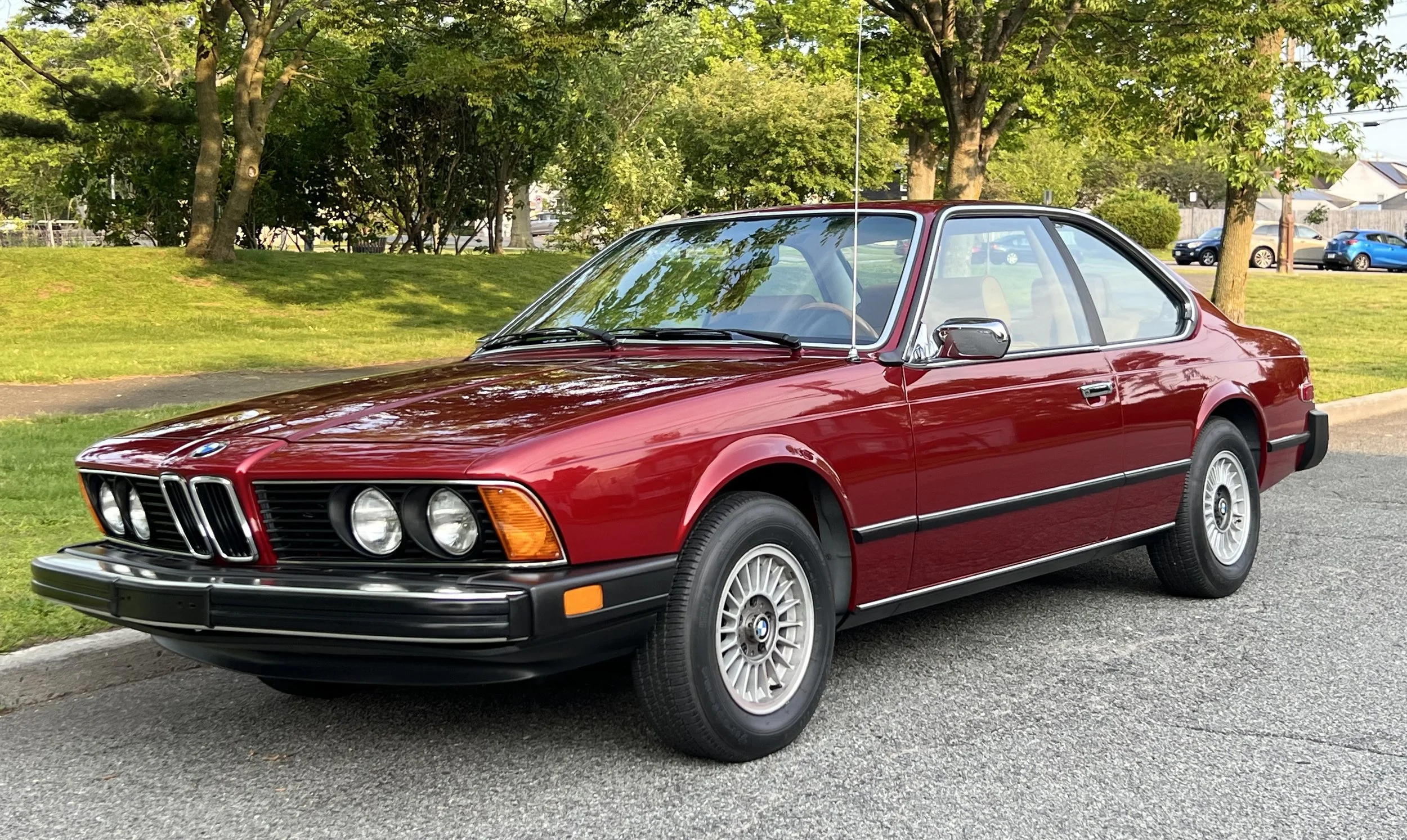 Ruby Red 1977 BMW 630 csi on display in park with trees, grass, and lake in background for sale at FlowHaus