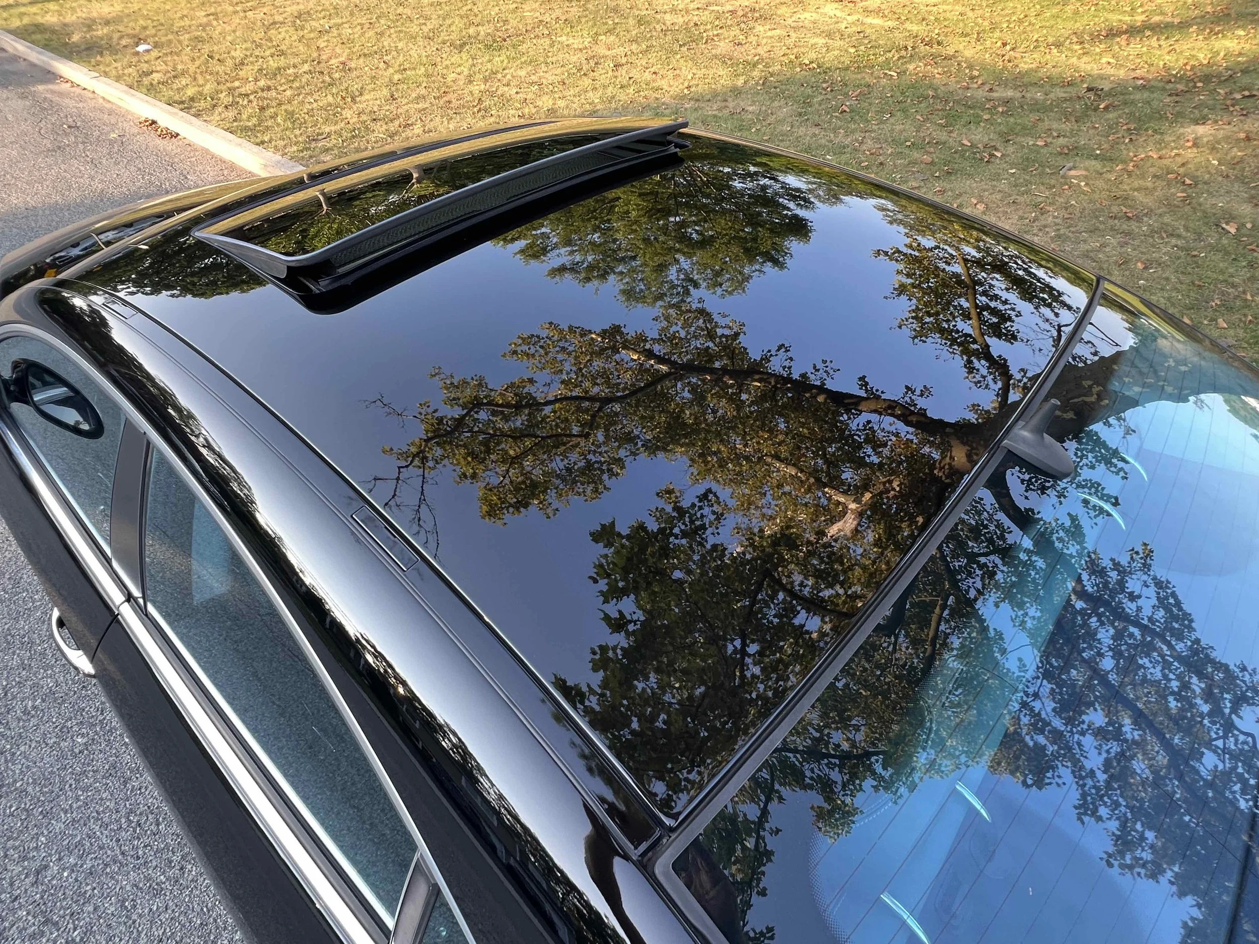 A car with a reflective black sunroof showing the reflection of trees and the sky.