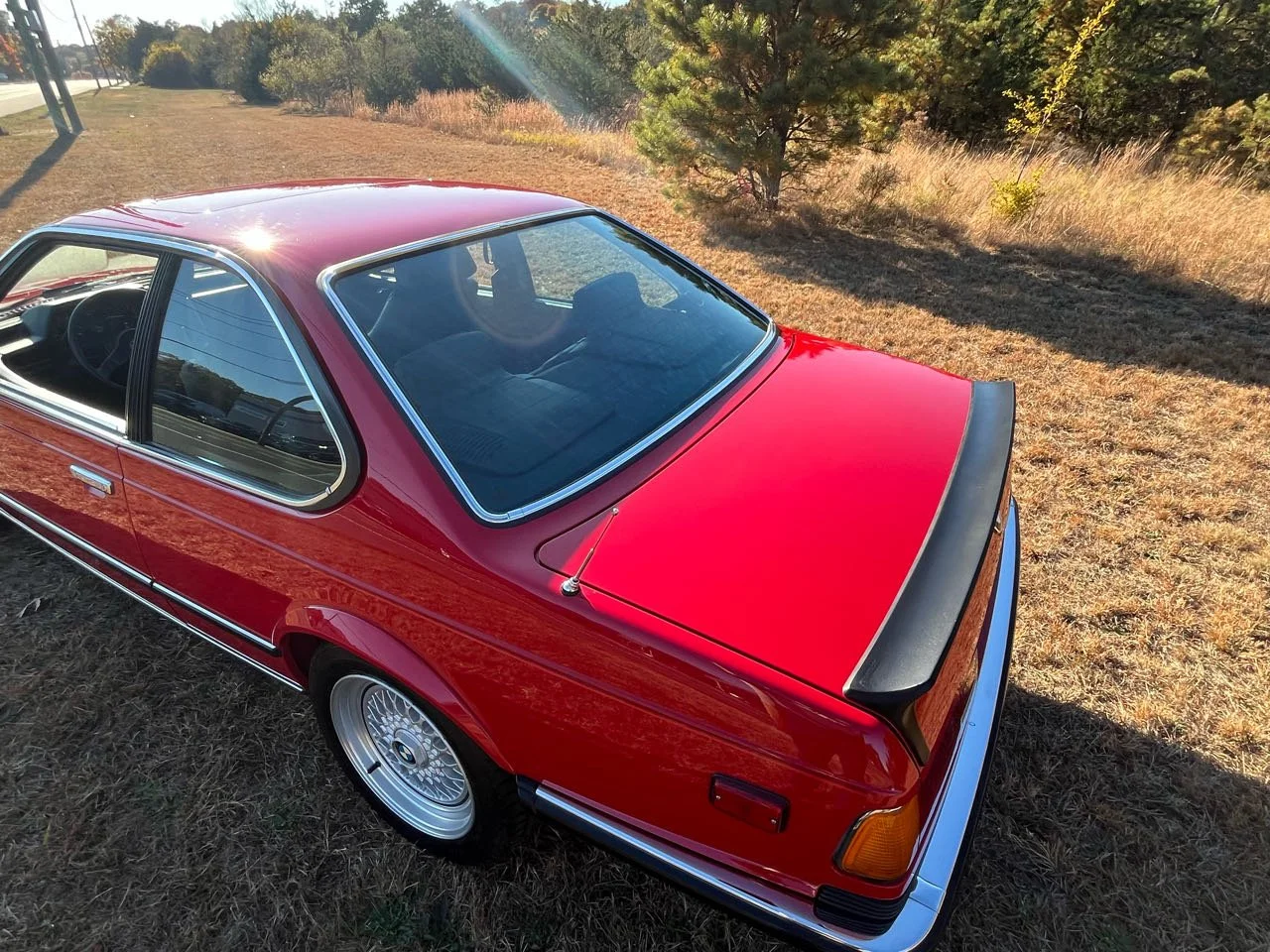 Red vintage coupe car parked on a grassy area with trees and shrubs in the background, sunlight reflecting off the car's surface.
