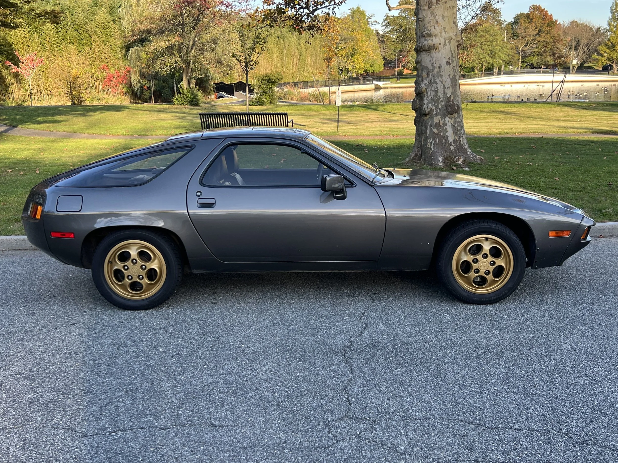 A vintage gray sports car with gold wheels parked on a paved road next to a grassy park with trees and a pond in the background.