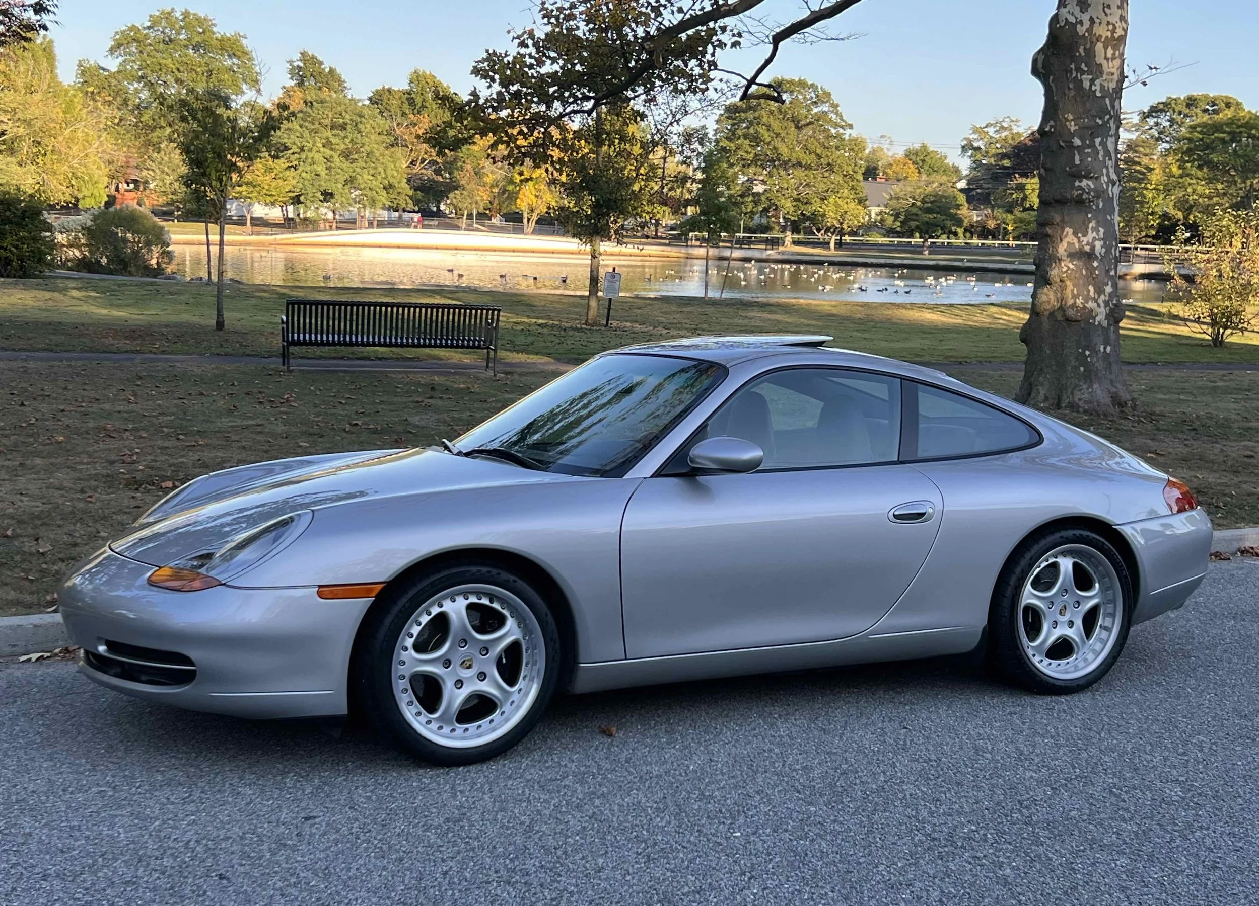 Silver sports car parked on a street near a park with trees and a pond in the background.