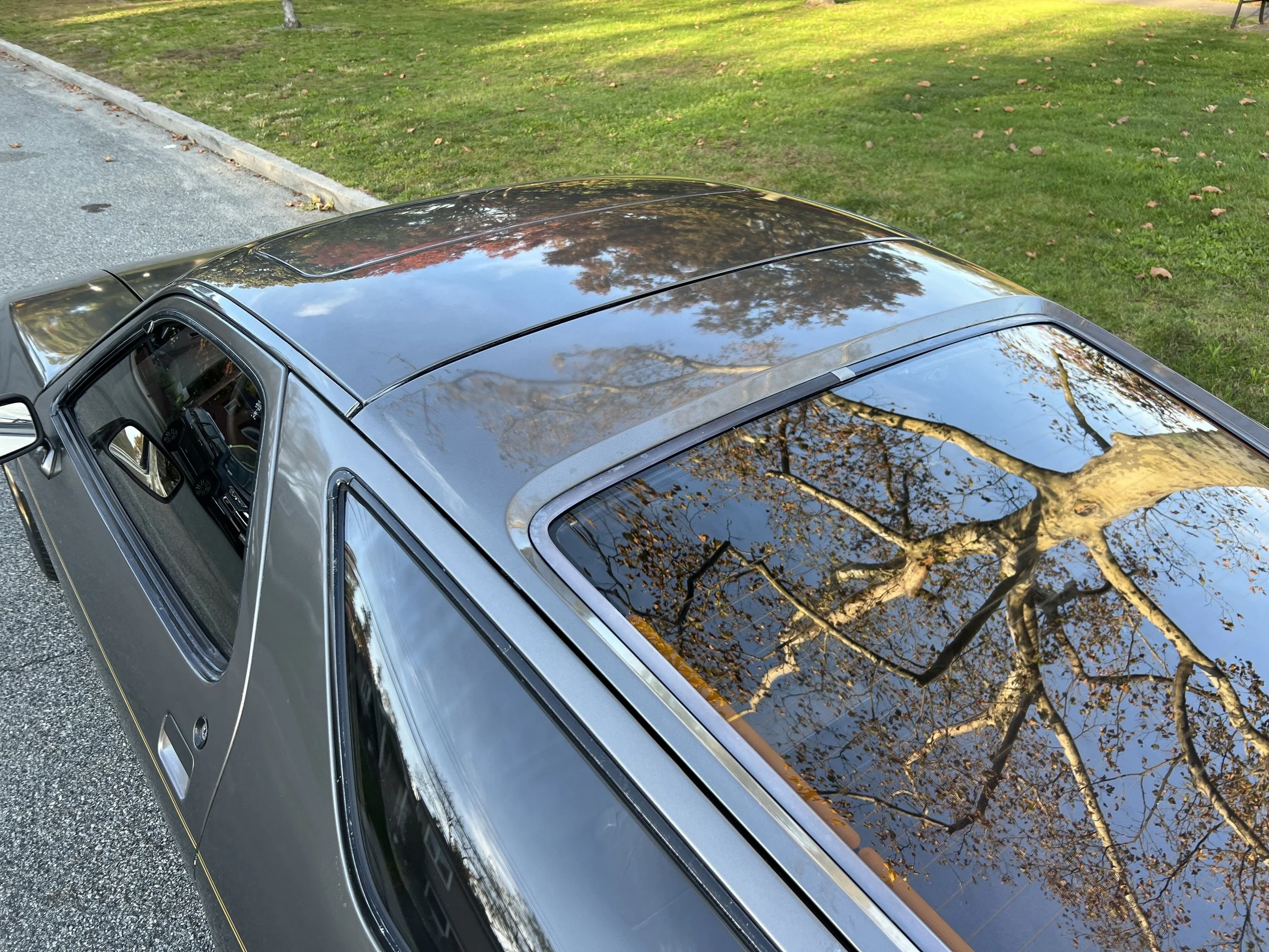 A classic gray car parked on a street with a grassy area and trees reflected on its sunroof and windshield.