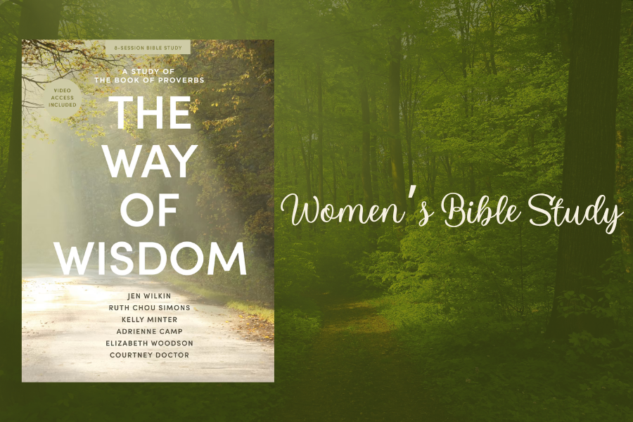 The Way of Wisdom (Women’s Study) Begins