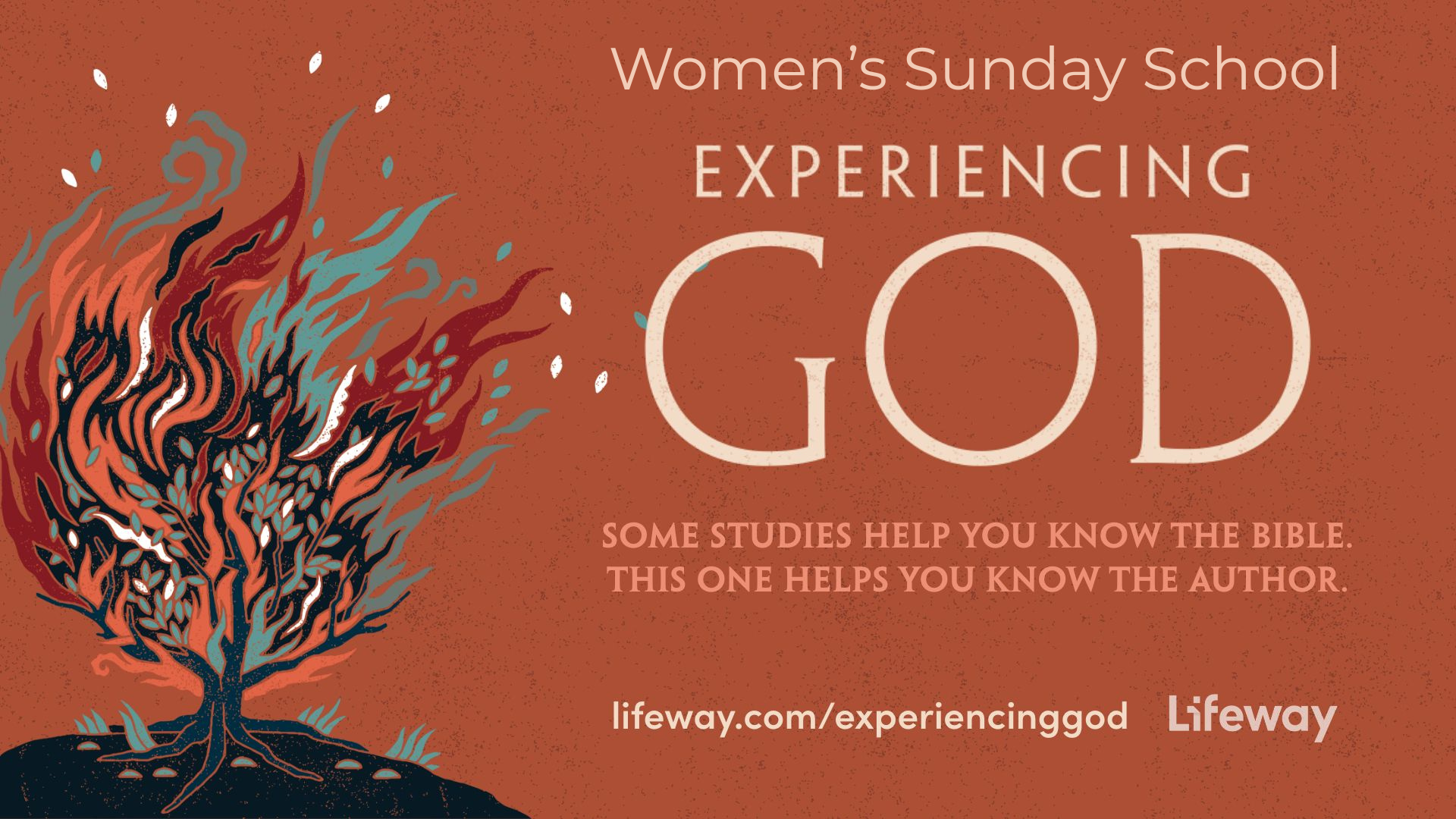 No Experiencing God Study