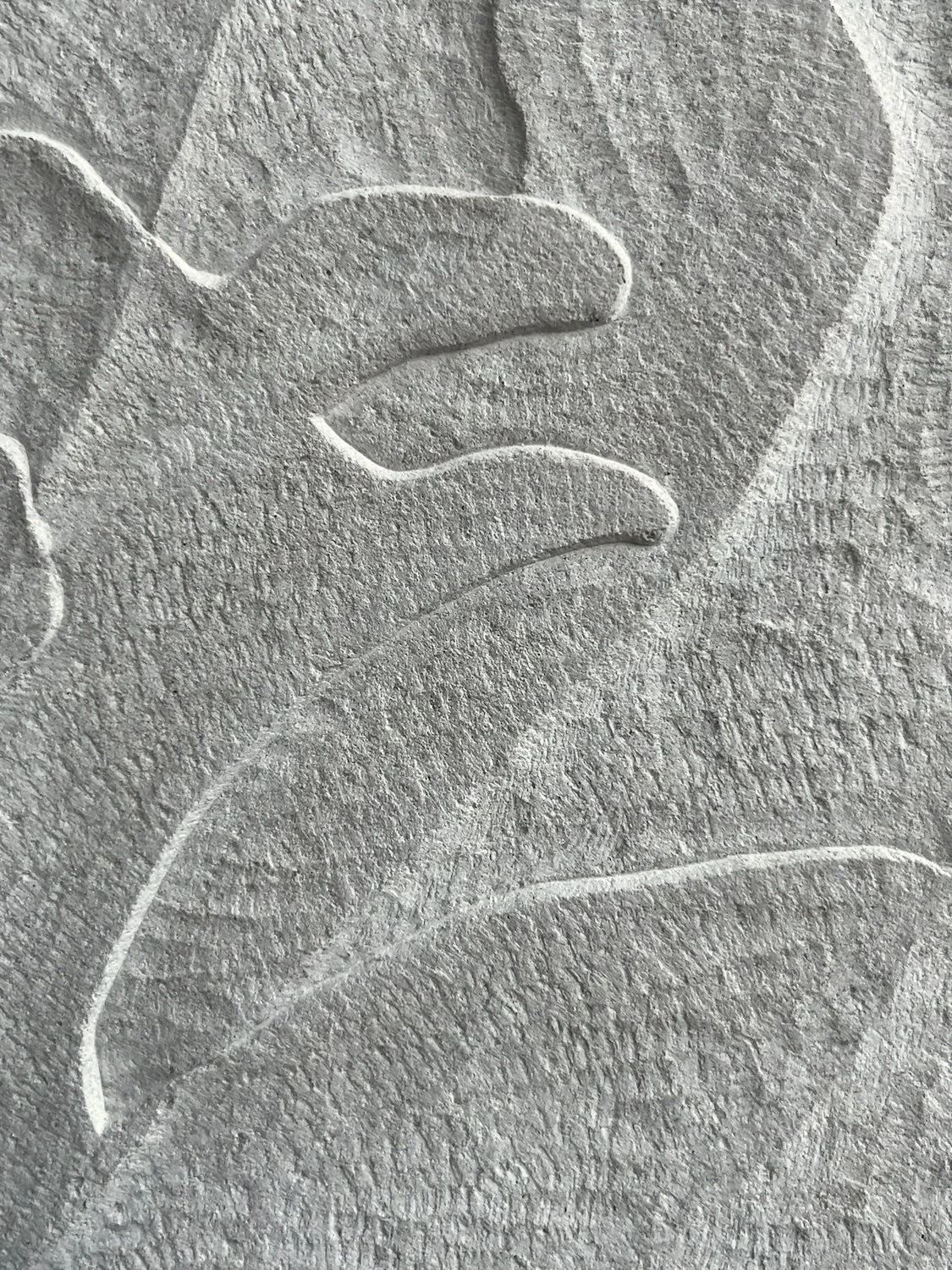 Coexistence Detail 2