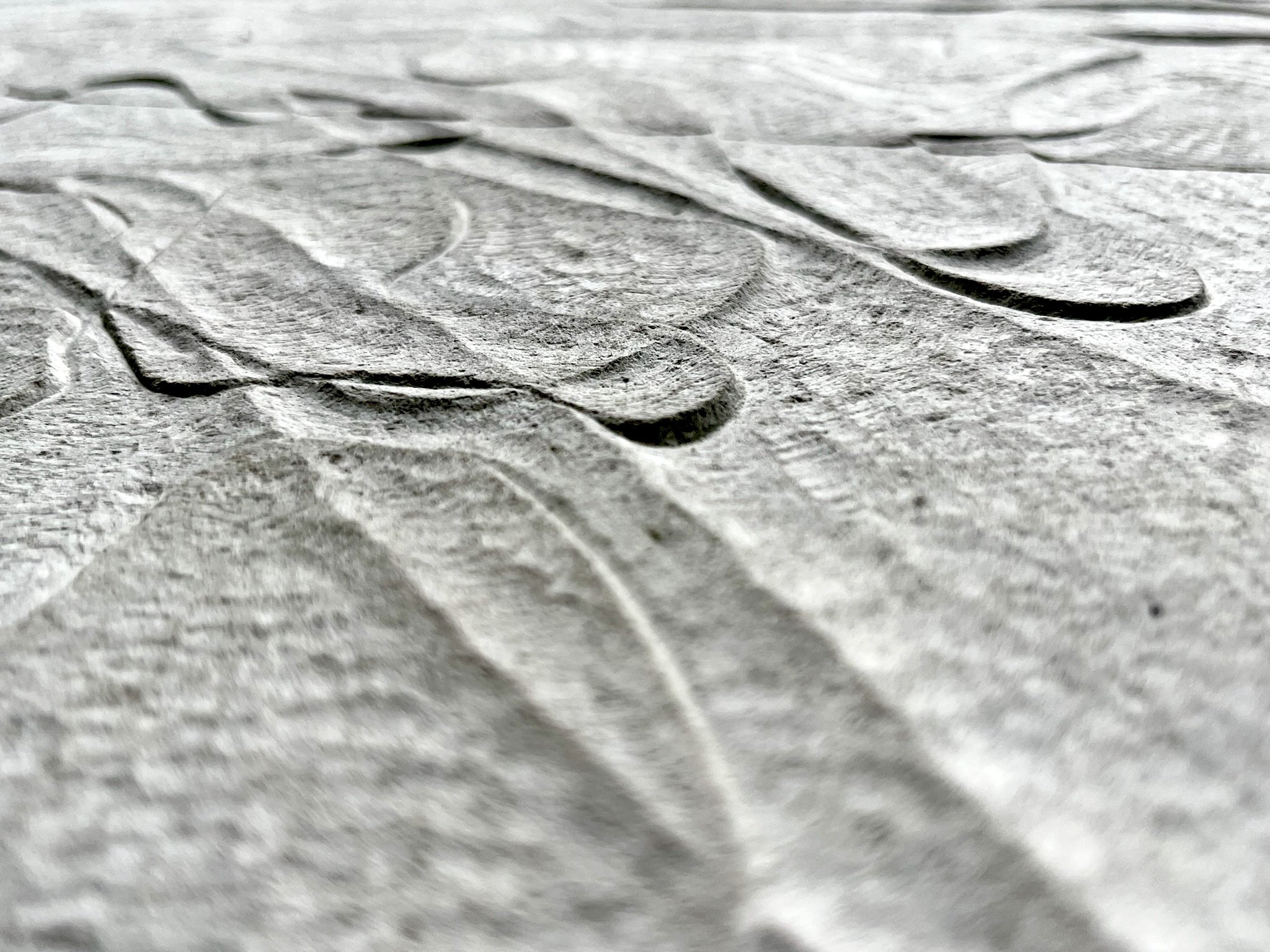 Coexistence Detail close