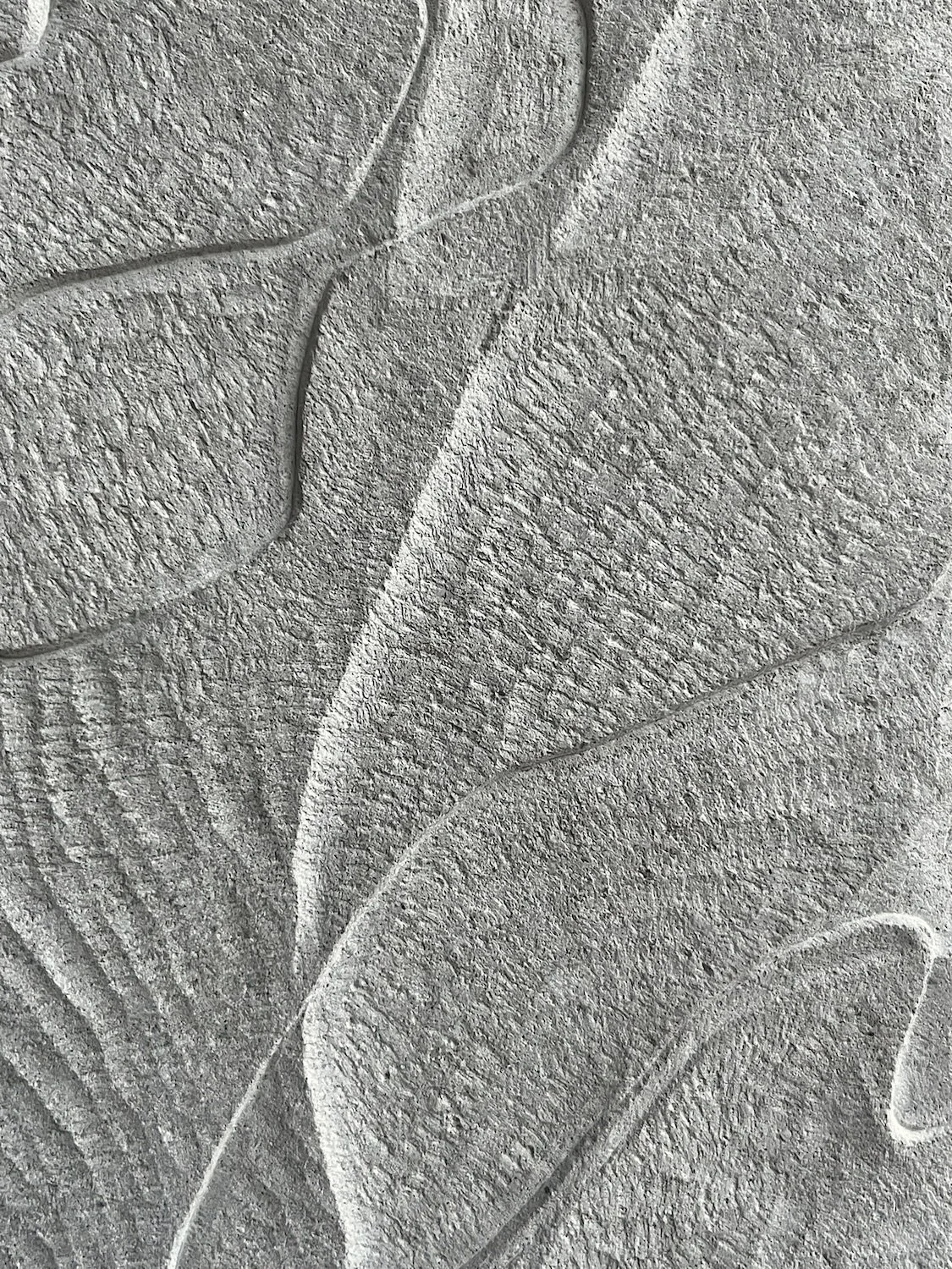 Coexistence Detail 1