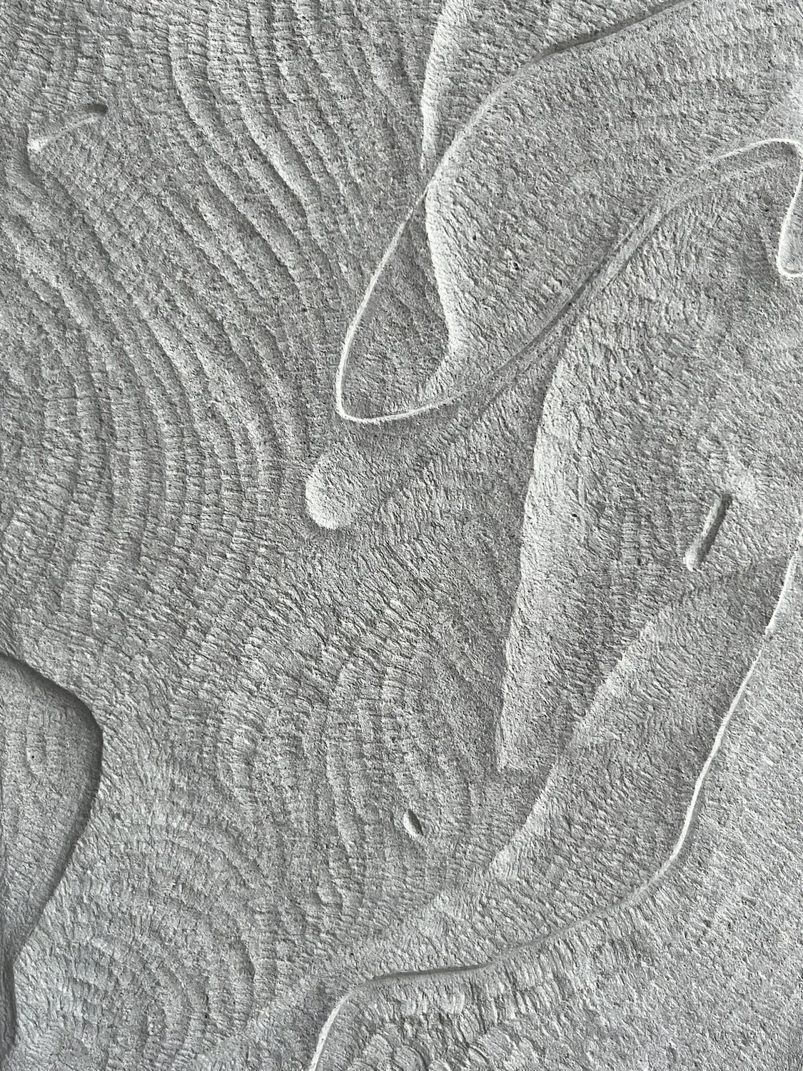 Coexistence Detail 3