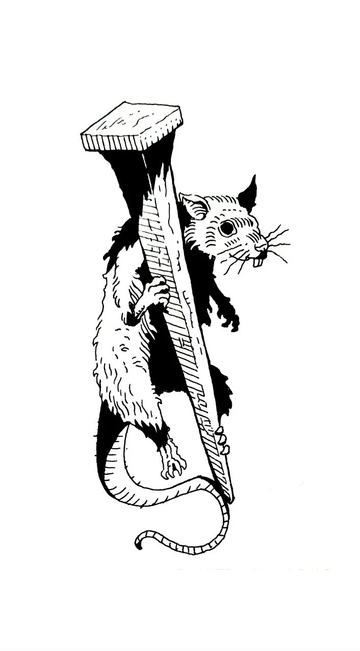 Image 1-9-24 at 9.09 AM.JPG