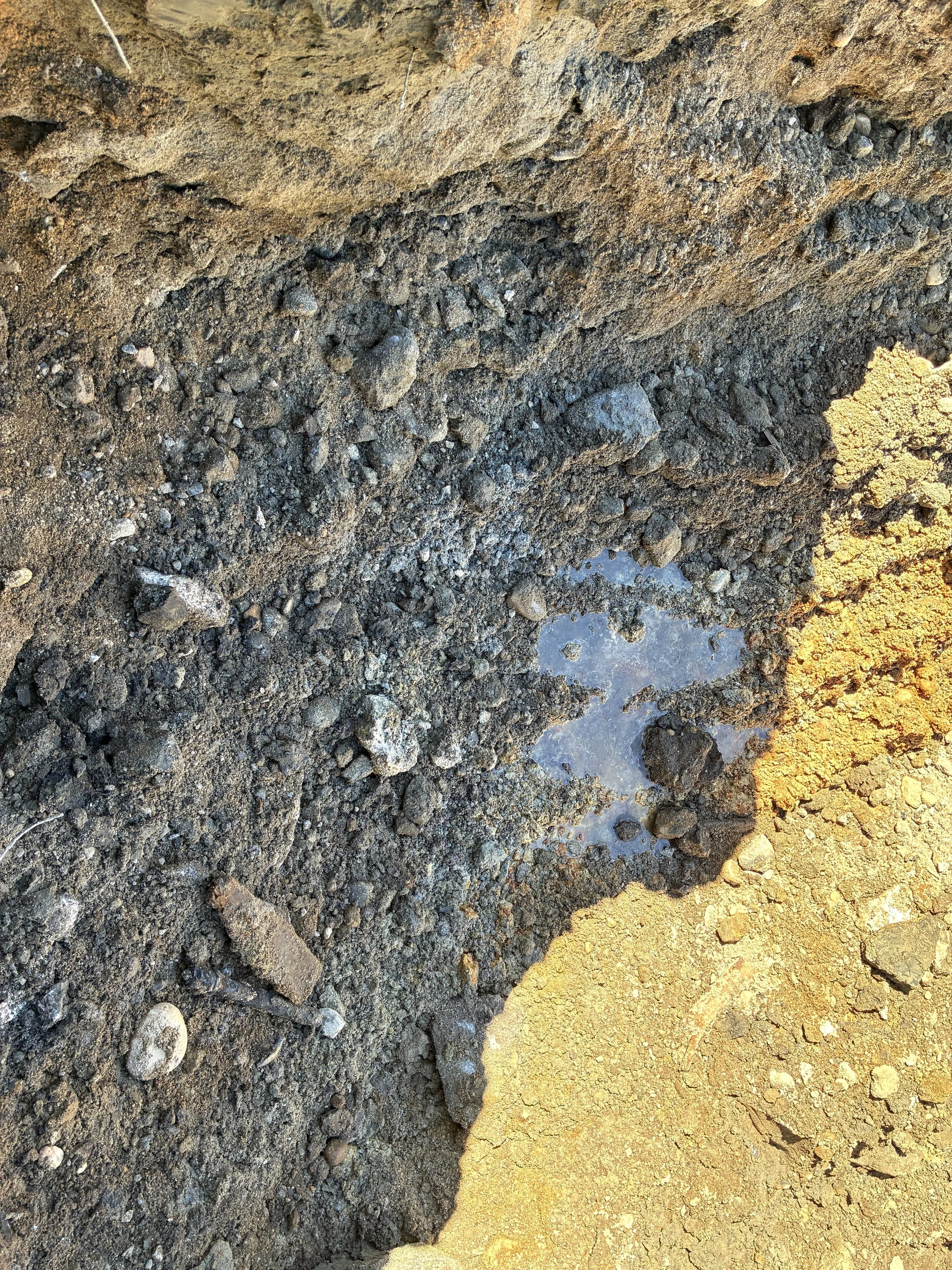 Managing the Remediation Process