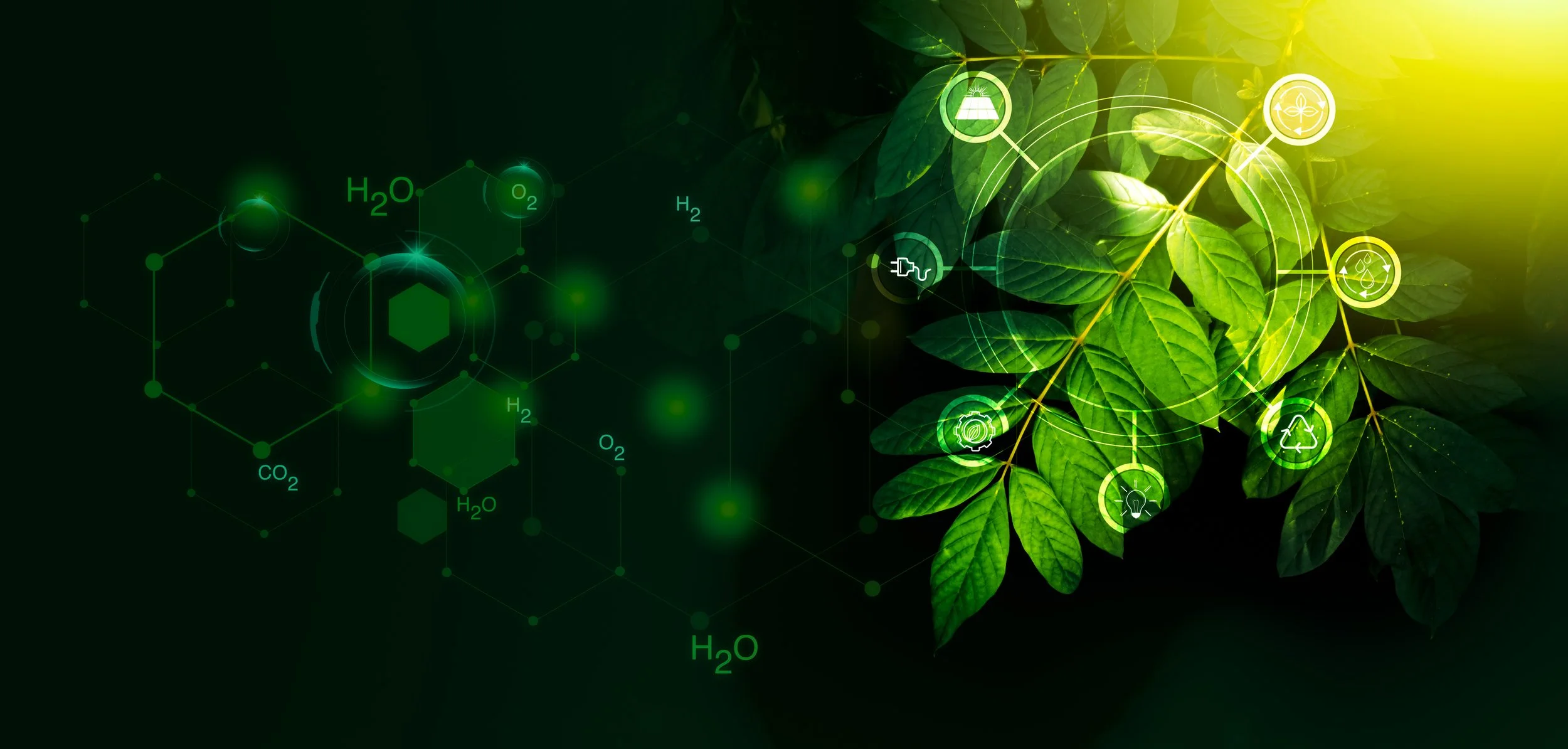 Digital illustration showing green leaves with overlaid icons representing sustainability and eco-friendly concepts, including water, energy, recycling, and innovation, along with molecular and chemical symbols.
