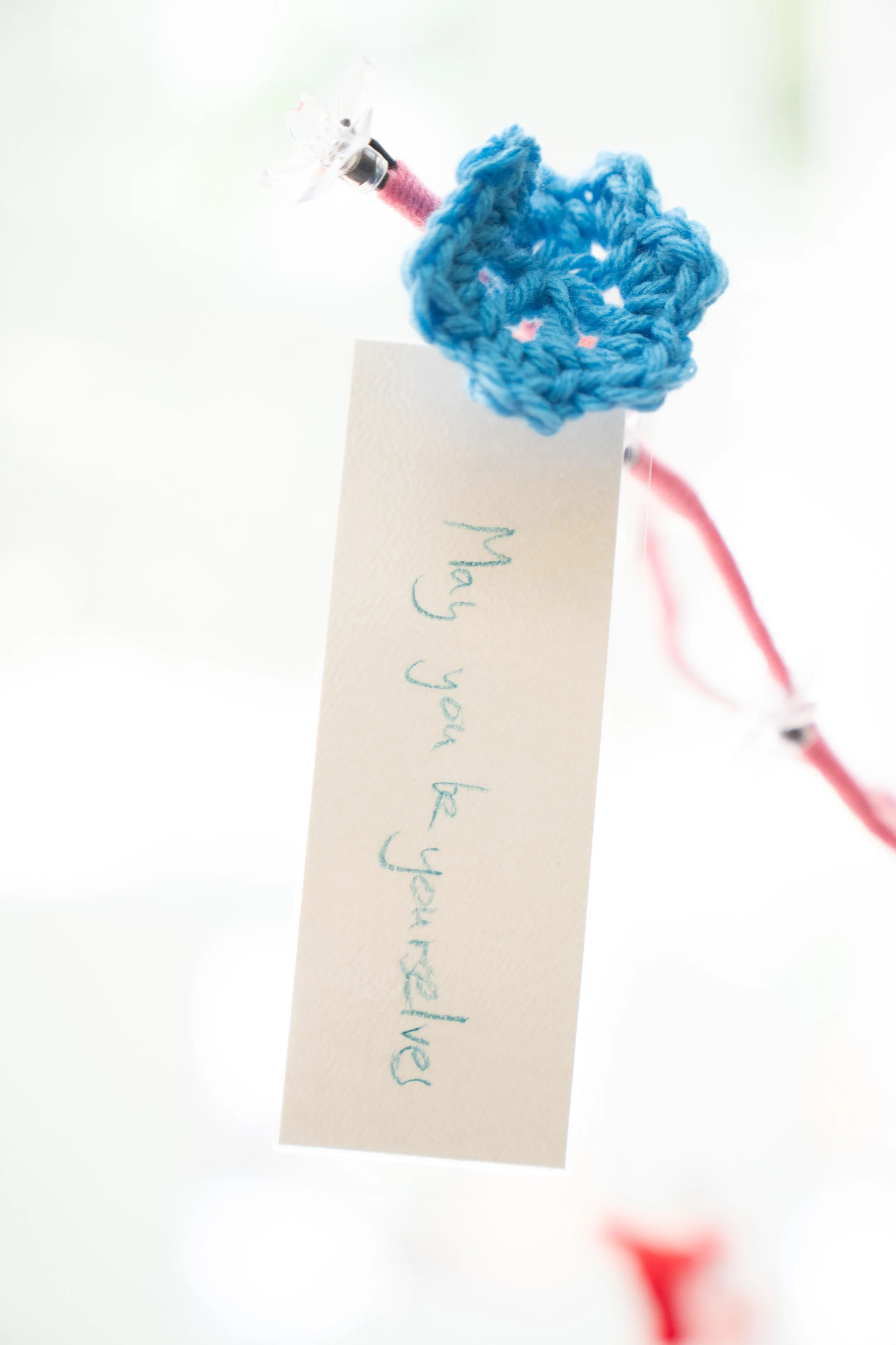 DC Affordable LAW _Love_Life_Images-9208619.jpg