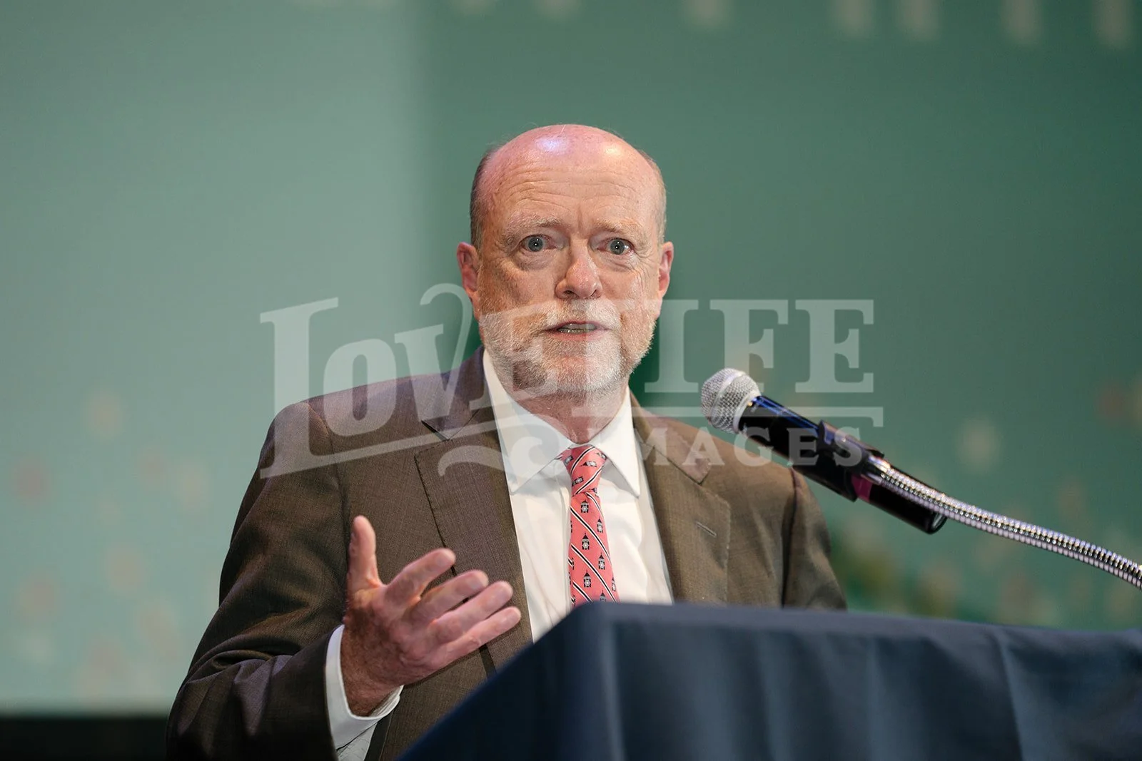 DC Affordable LAW _Love_Life_Images-06508_websize.jpg