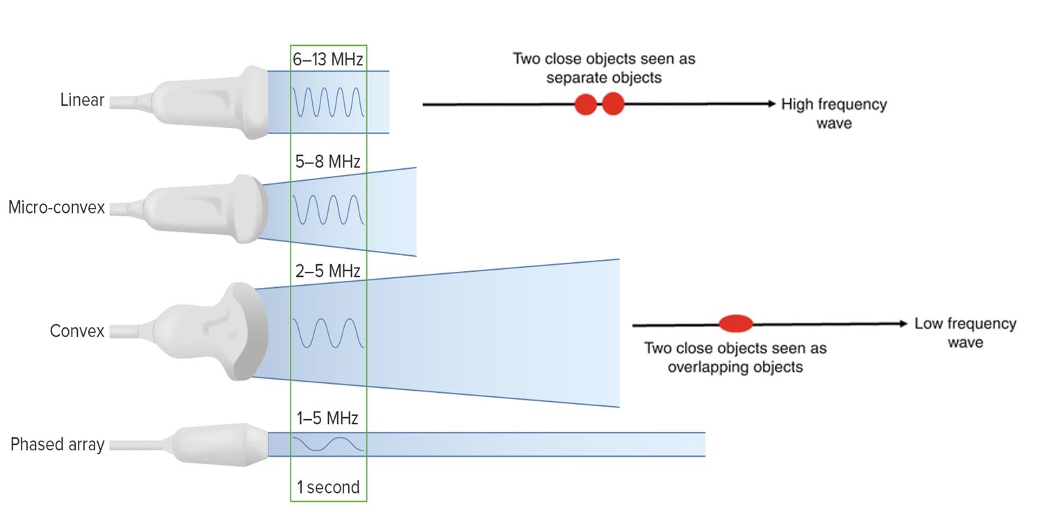  Resolution is the capacity to distinguish two close objects as such and is related to frequency. As frequency increases, the resolution improves, but the ability to penetrate deeper structures diminishes. 