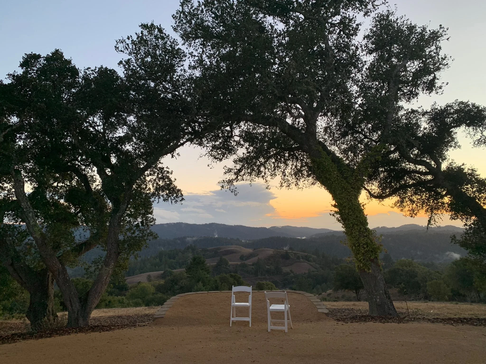 Two white chairs facing a sunset over rolling hills, framed by large trees with thick branches and leaves.