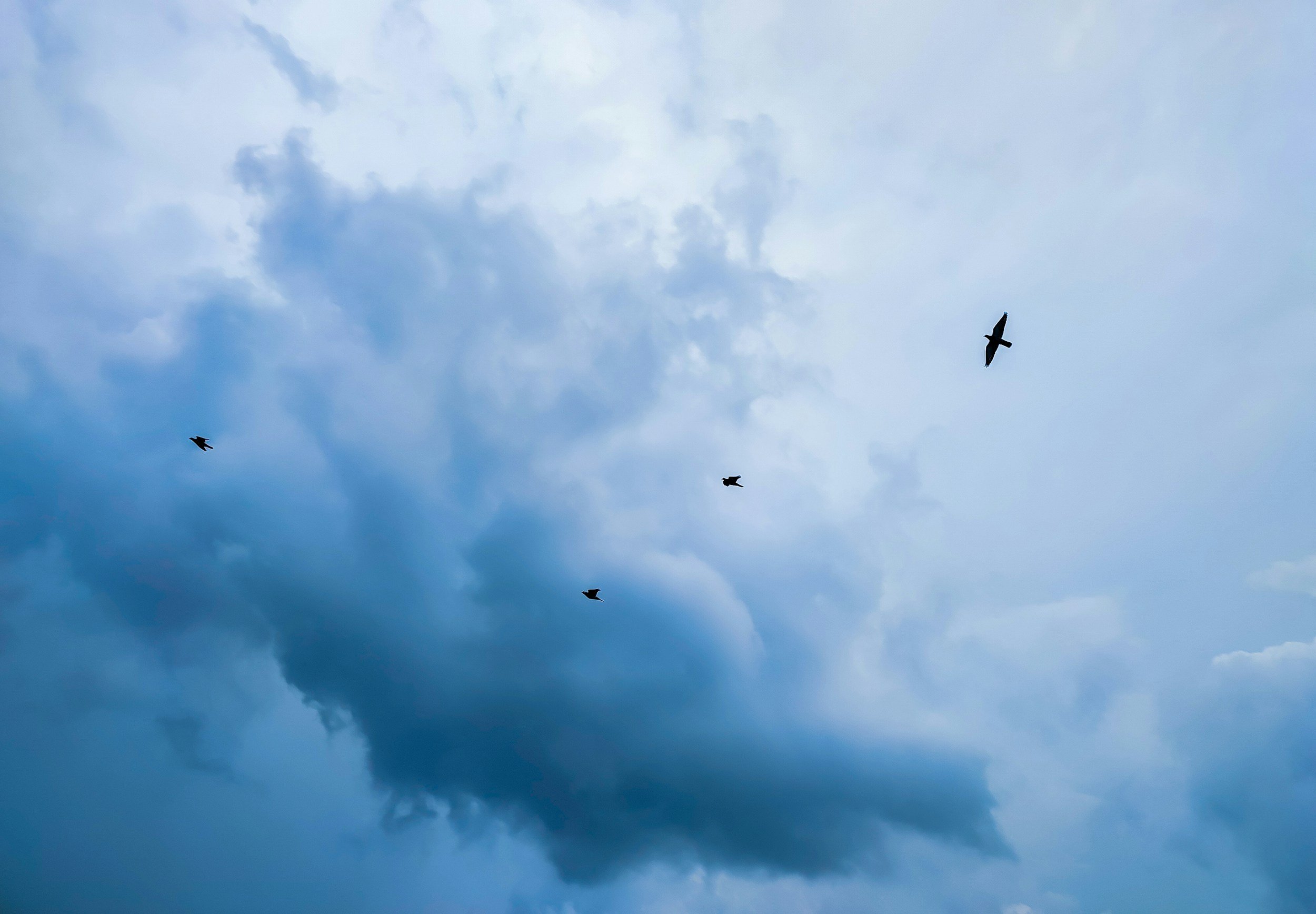 unsplash-image-is6mDturNr4.jpg