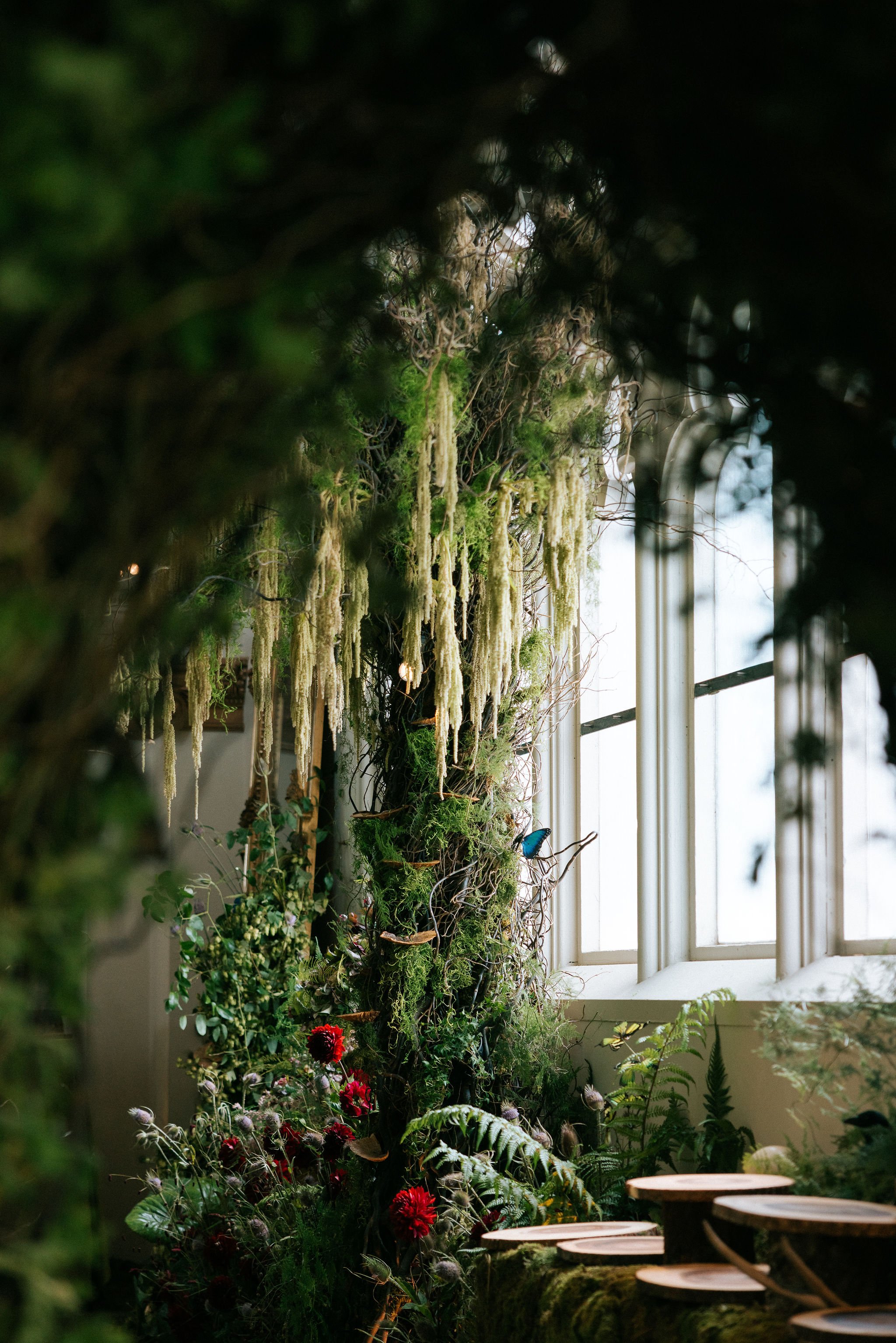 Indoor scene with a woodland theme, featuring a wall covered with moss, ferns, and hanging moss or lichen, with sunlight coming through large windows.