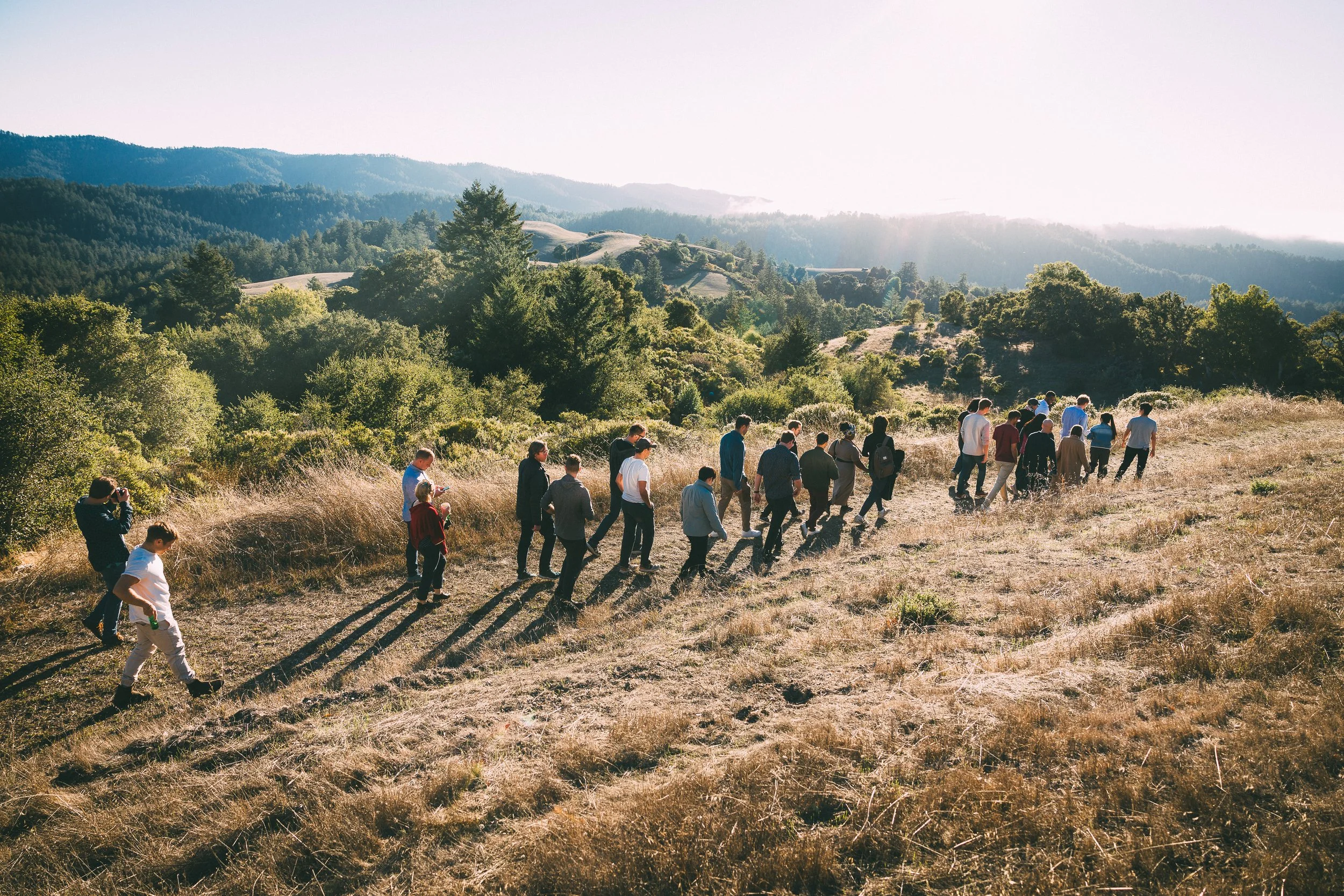 Group of people walking on a hillside trail with trees and mountains in the background during daylight.
