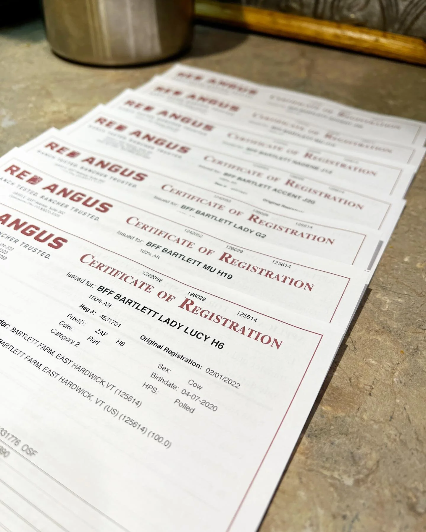 Bartlett Family Farm Beef and Pork Greensboro, VT