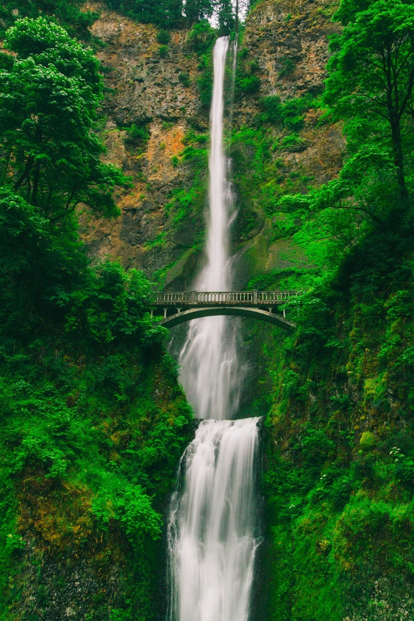 Multnomah Falls in Oregon
