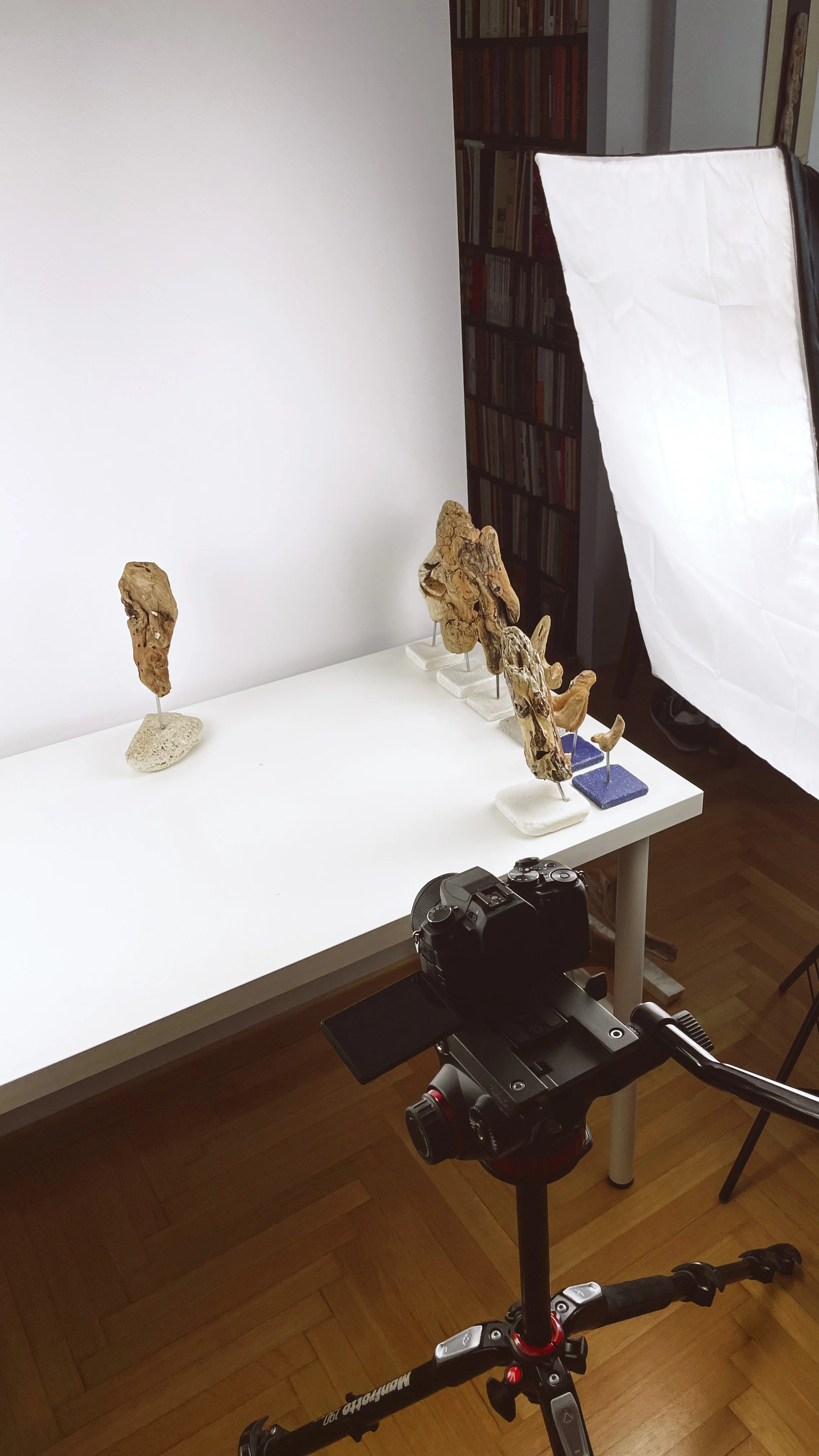 Wood_Sculptures_Scans_12.JPG