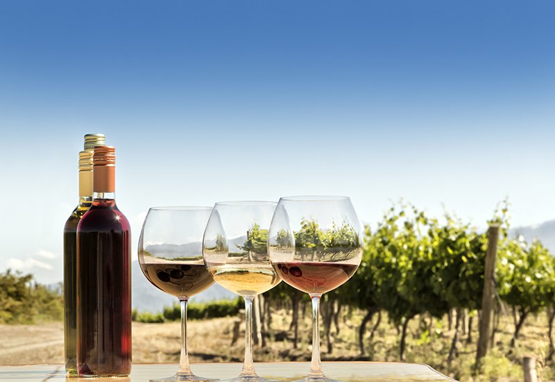 Uncorking South America