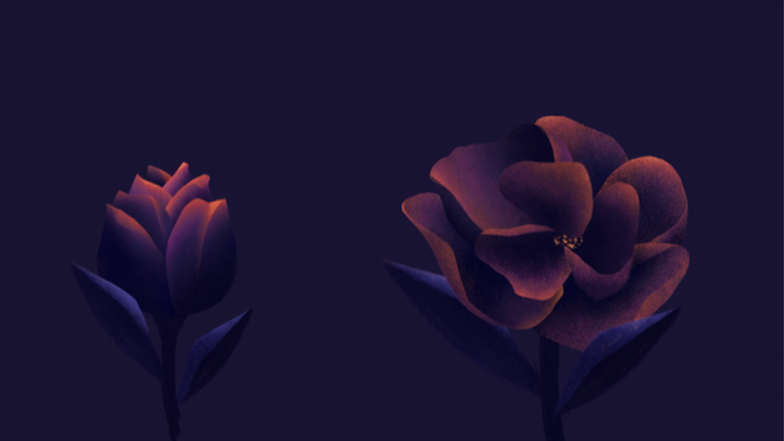 flower.png