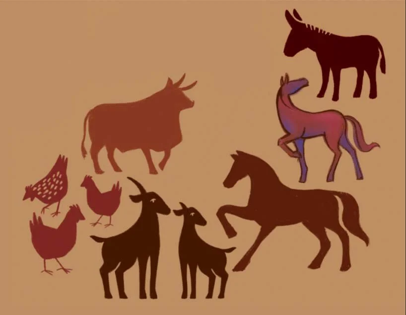 animals.jpg