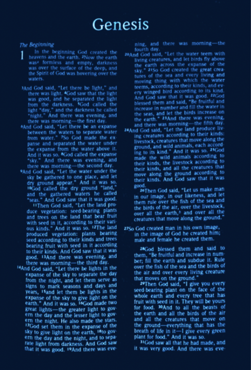Screen Shot 2022-06-03 at 6.47.47 PM.png
