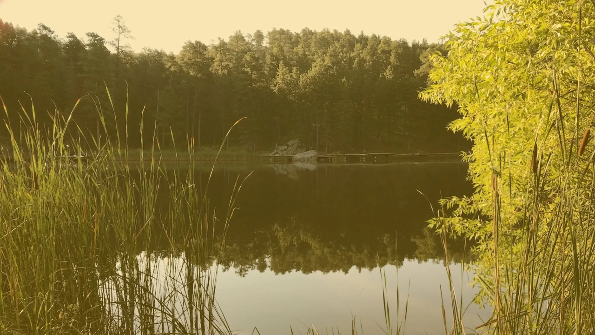 Morningtide Wellness ADHD and AuDHD Coaching for Adults website homepage with logo and text laid over nature photograph of Horse Thief Lake South Dakota