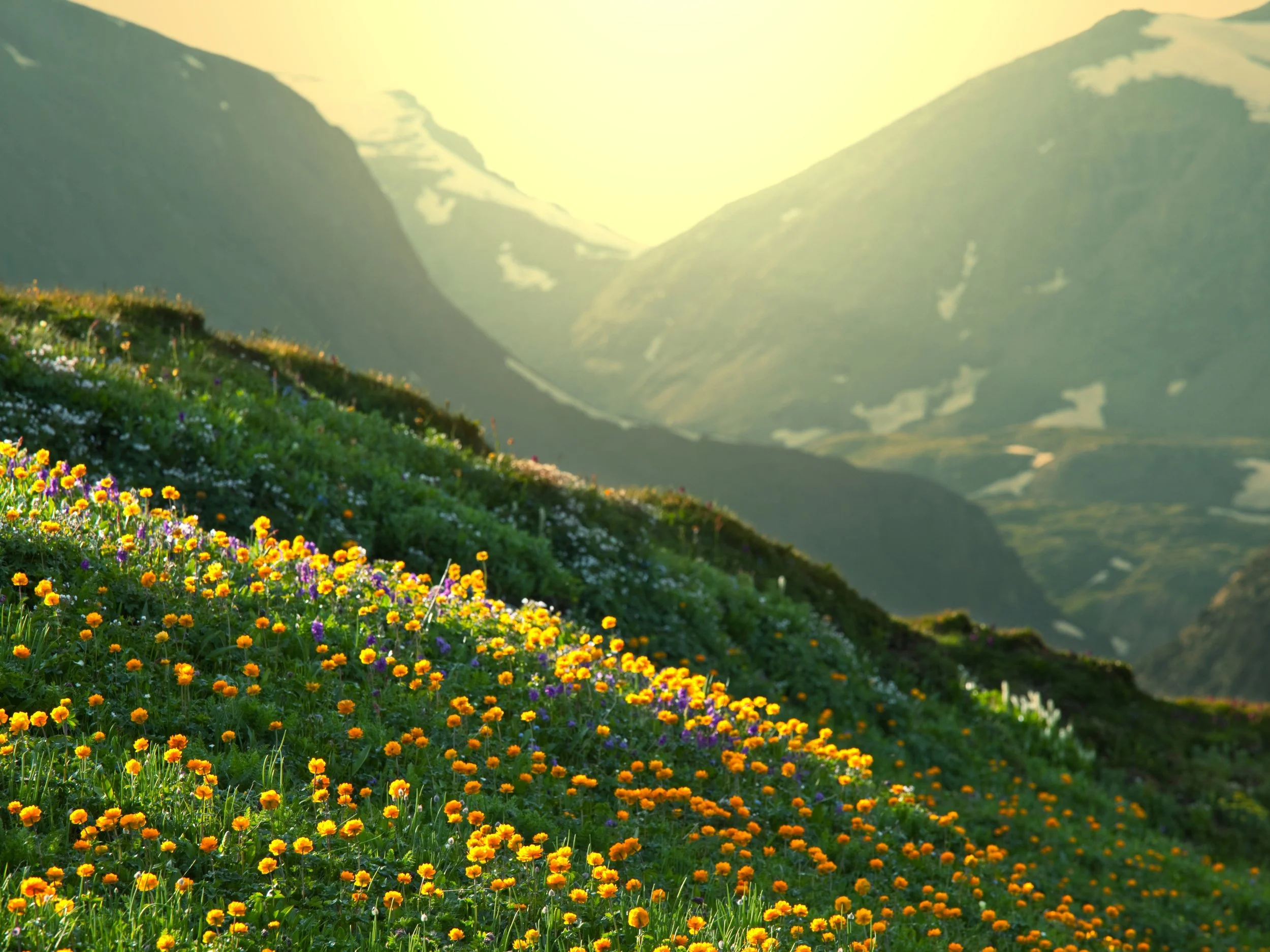Upcoming Events Morningtide Wellness ADHD Coaching For Adults upcoming-events-morningtide-wellness-adhd-coaching-for-adults