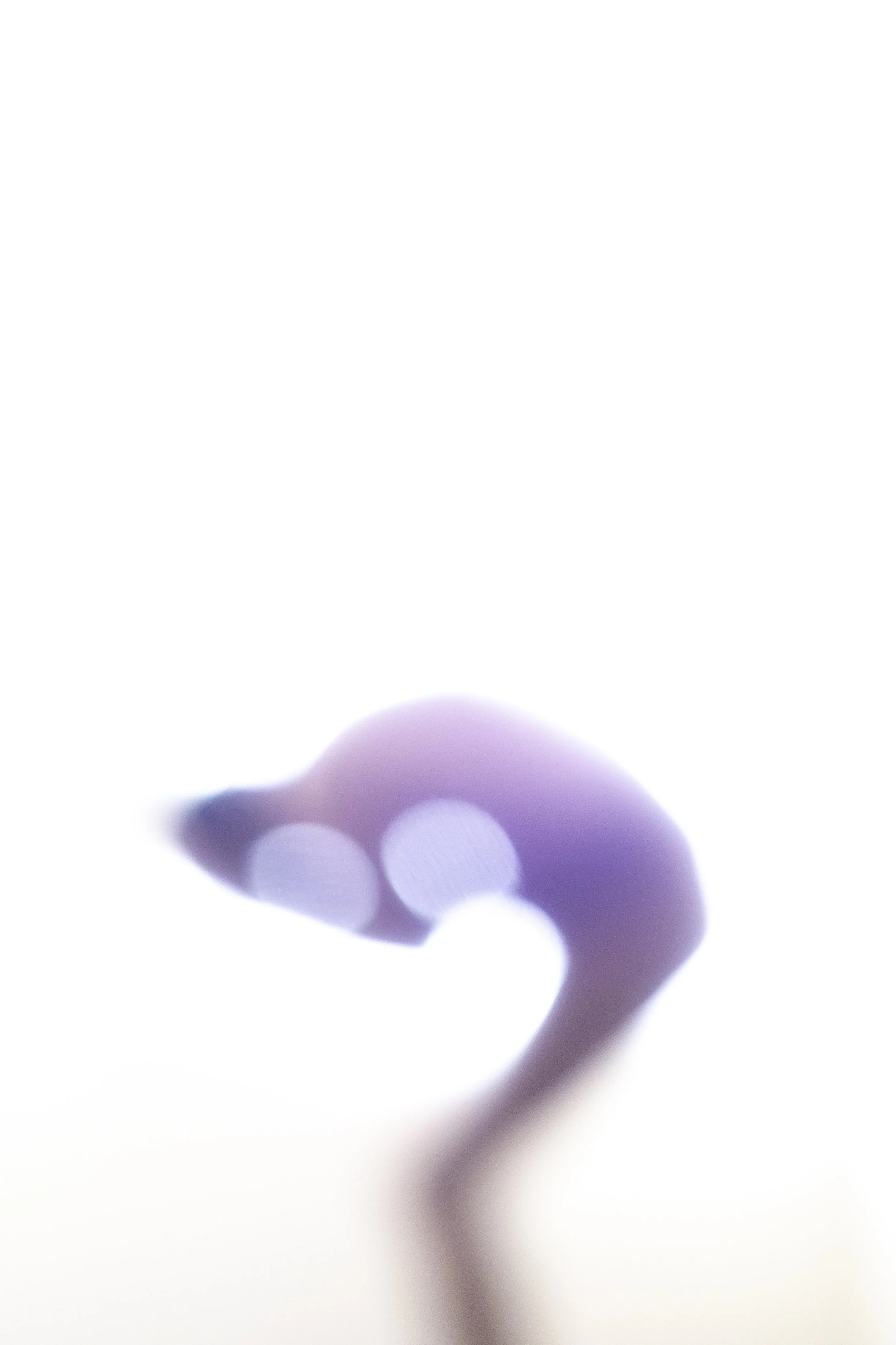 Fragments-5.jpg