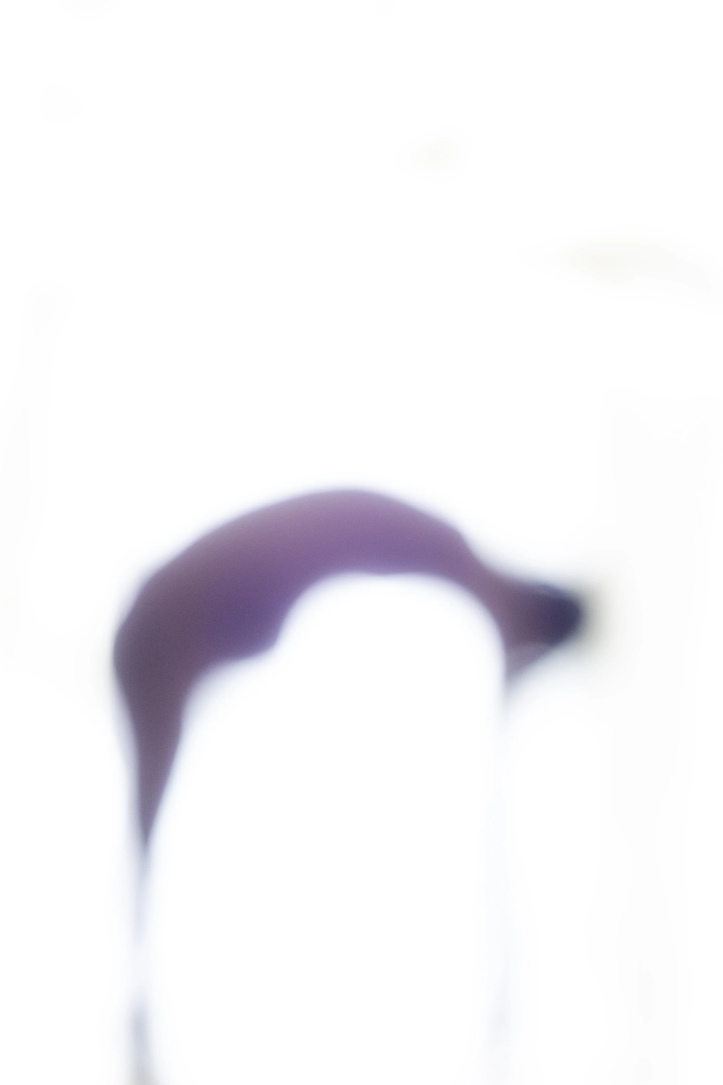 Fragments-7.jpg