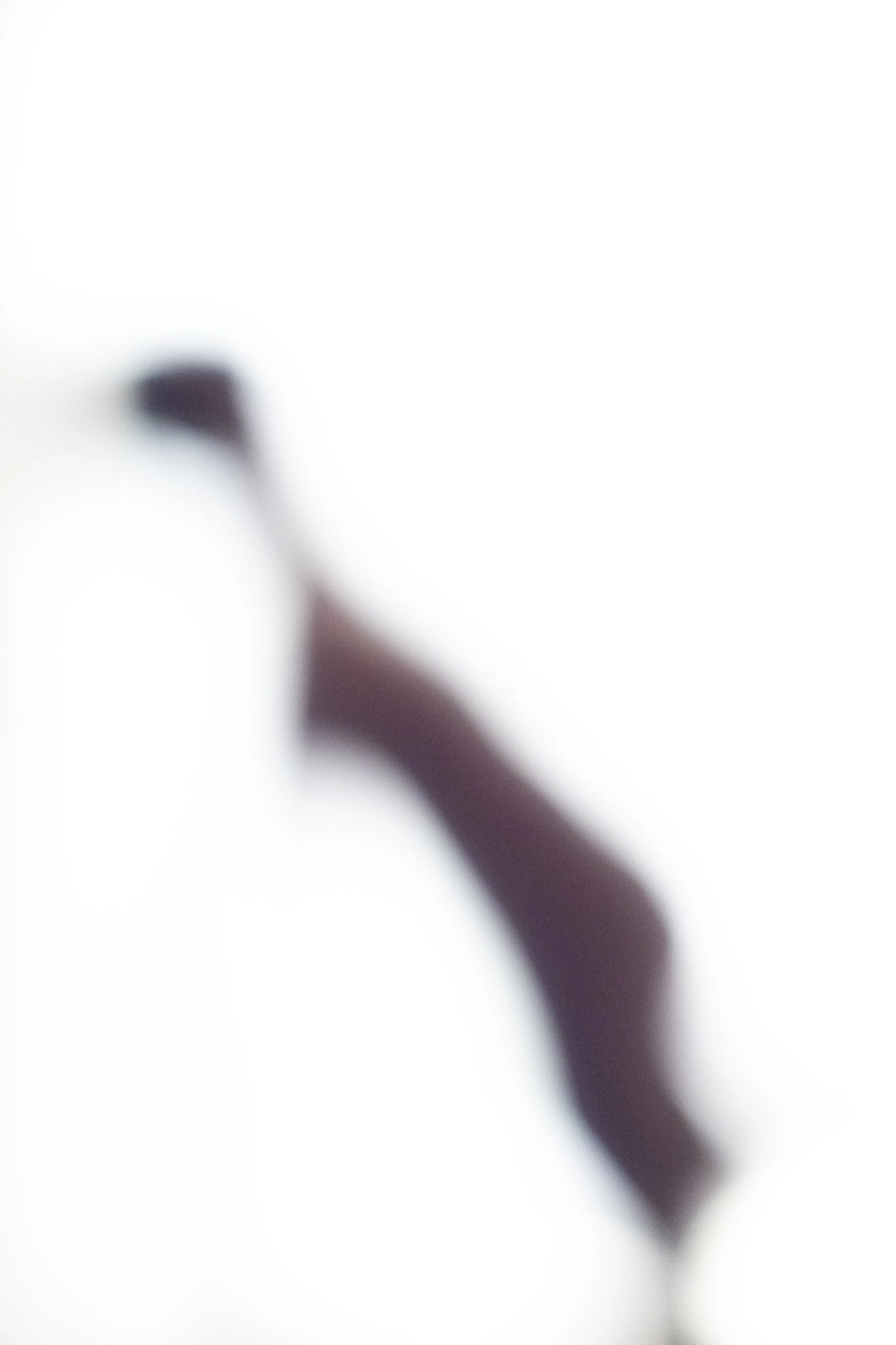 Fragments-2.jpg