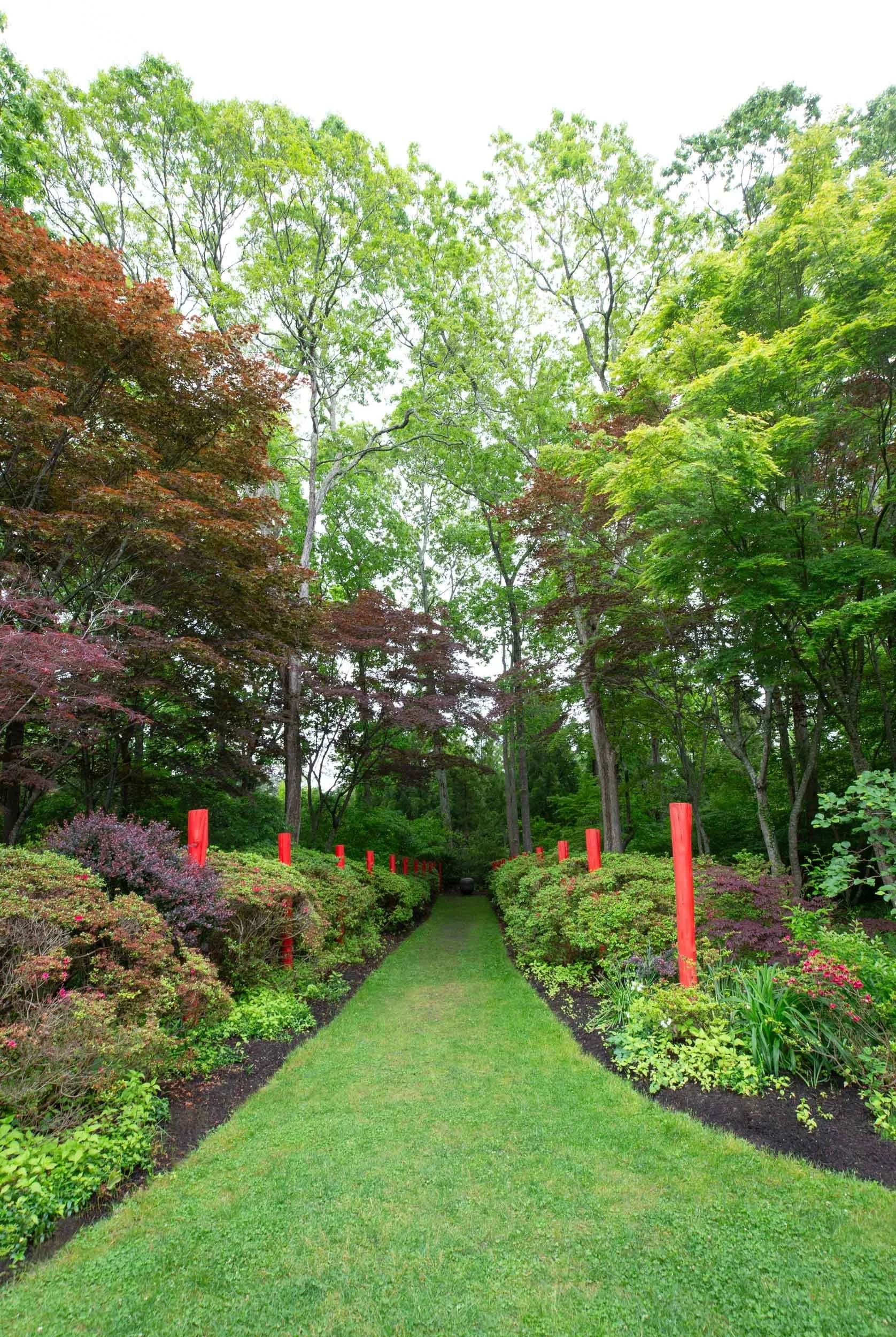 R_Lara-Vukson-Photo_2025_6_01-Long-House-Reserve-grounds-1894_SQSP_2500px.jpg