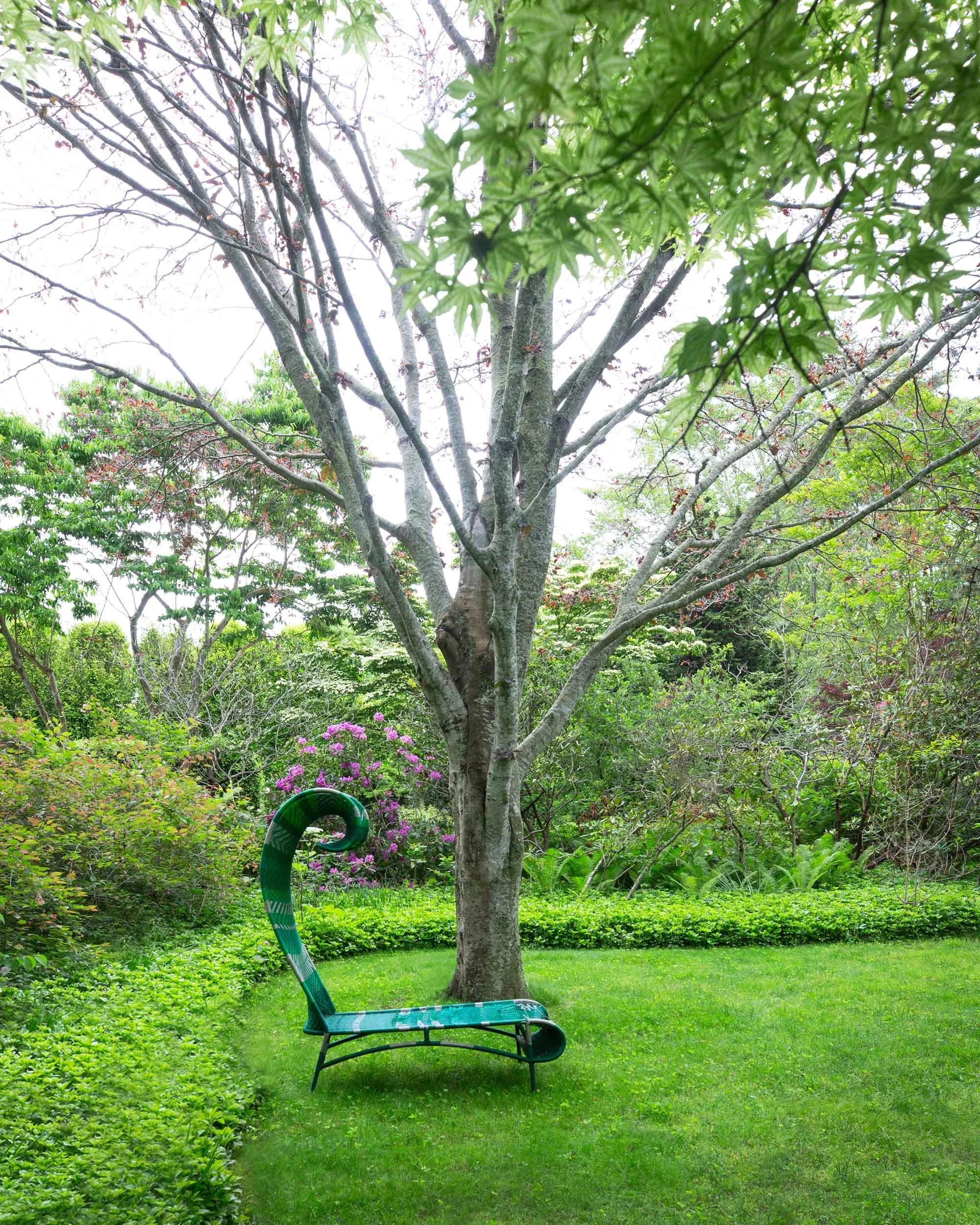 R_Lara-Vukson-Photo_2025_6_01-Long-House-Reserve-grounds-1865_v3_8-x-10_SQSP_2500px.jpg