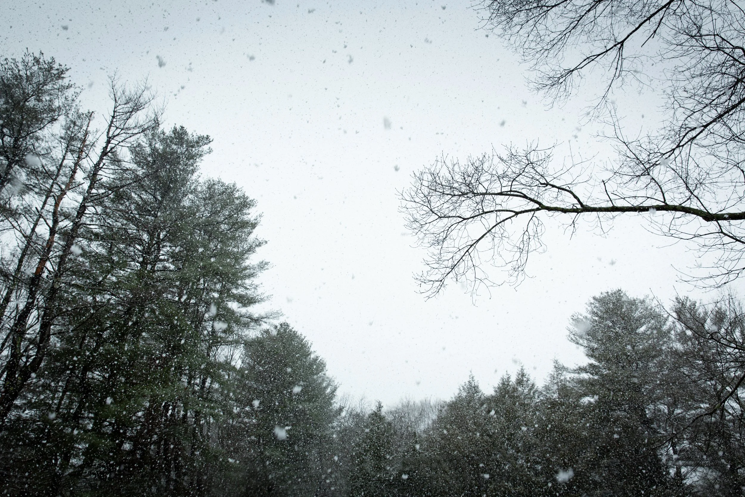 R_noreaster-2-1829_sm_2500px.jpg