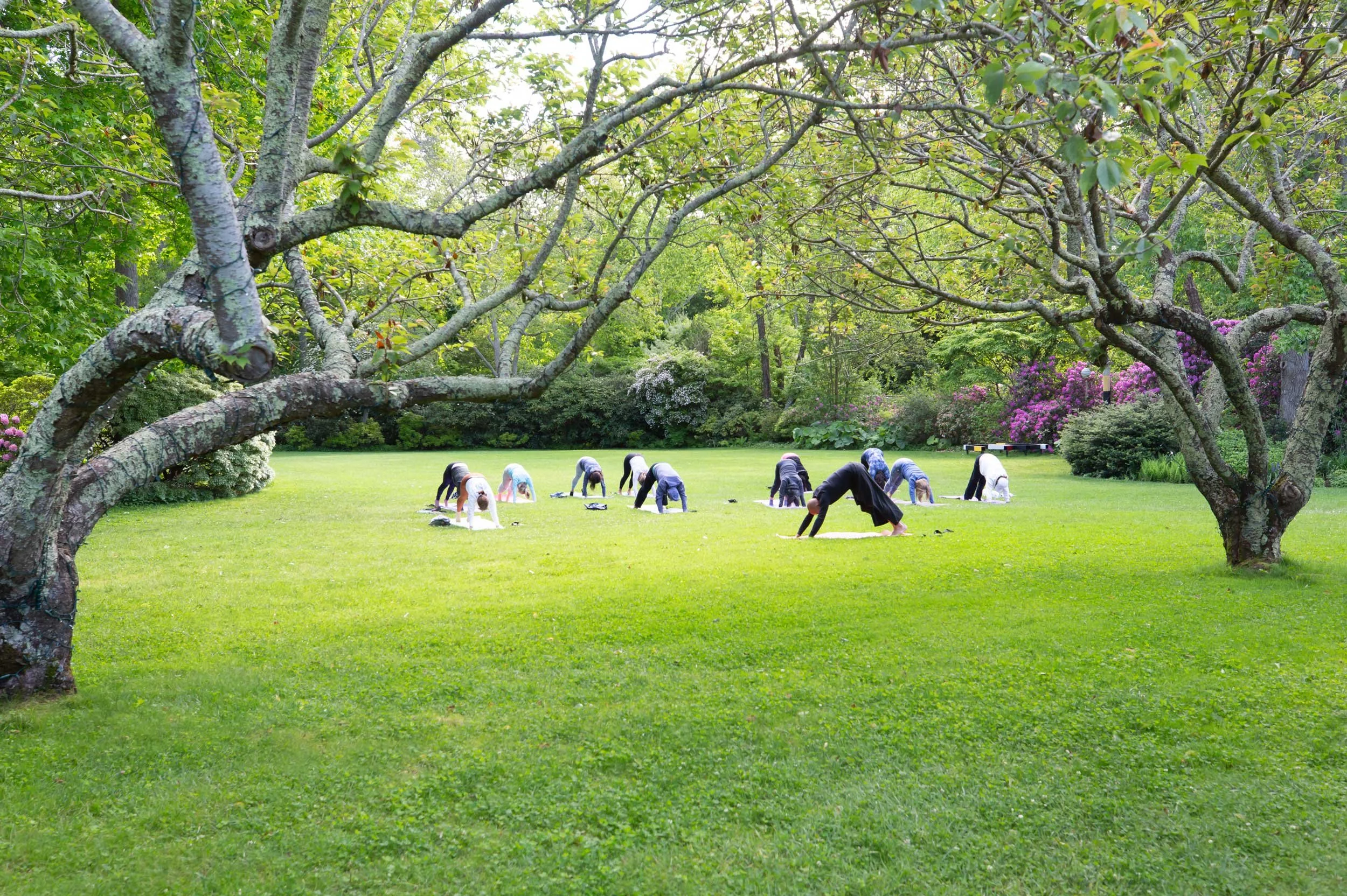 R_Lara-Vukson-Photo_2025_6_01-Long-House-Reserve_yoga-2163_SQSP_2500px.jpg