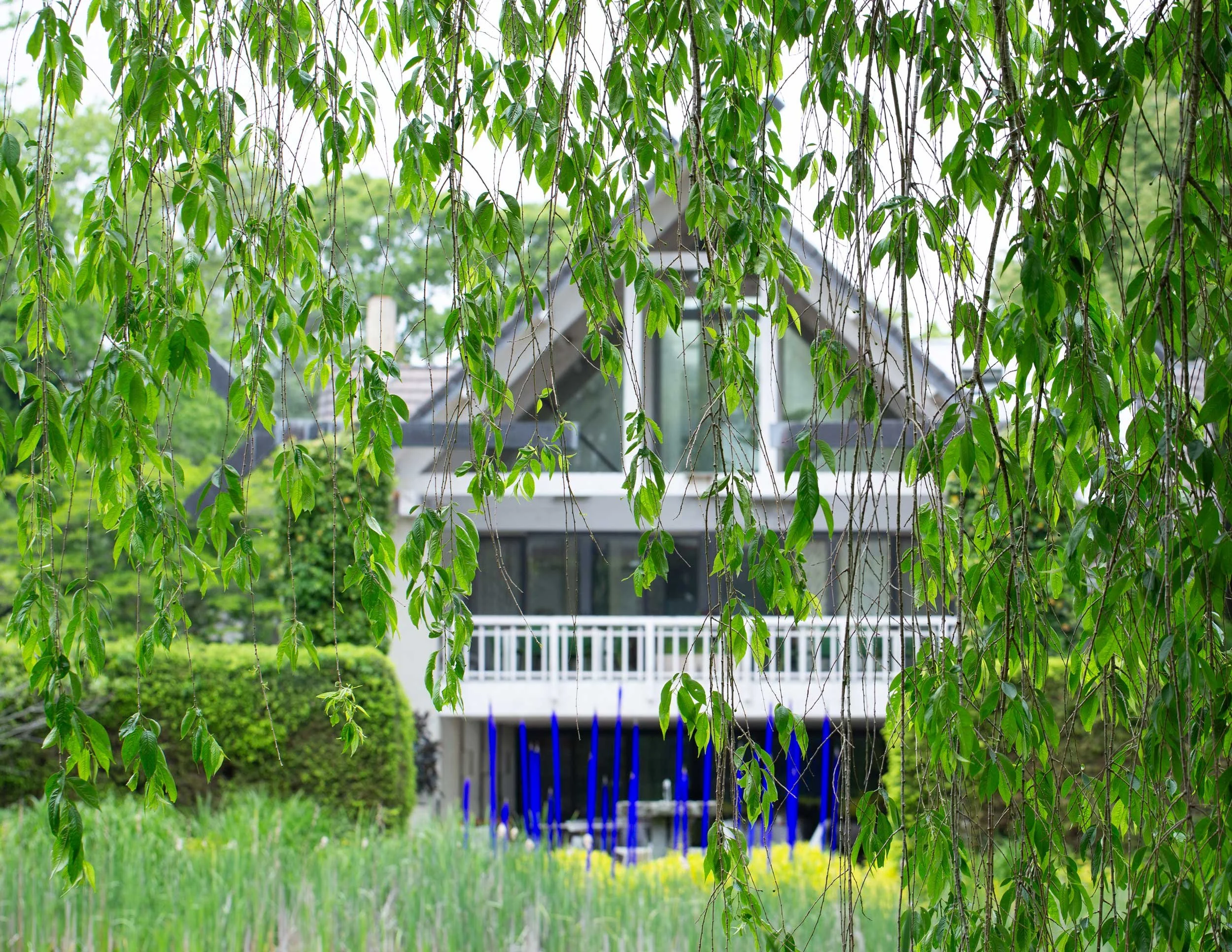R_Lara-Vukson-Photo_2025_5_30-Long-House-Reserve-1573_SQSP_2500px.jpg