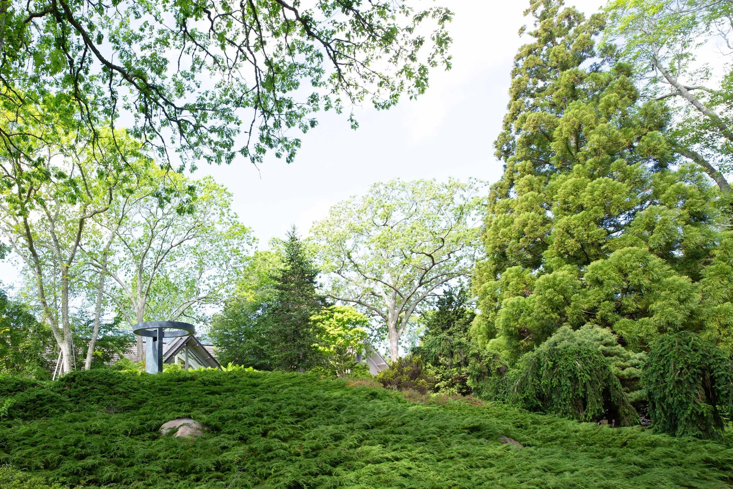 R_Lara-Vukson-Photo_2025_5_31-Long-House-Reserve-grounds-B--2278_SQSP_2500px.jpg